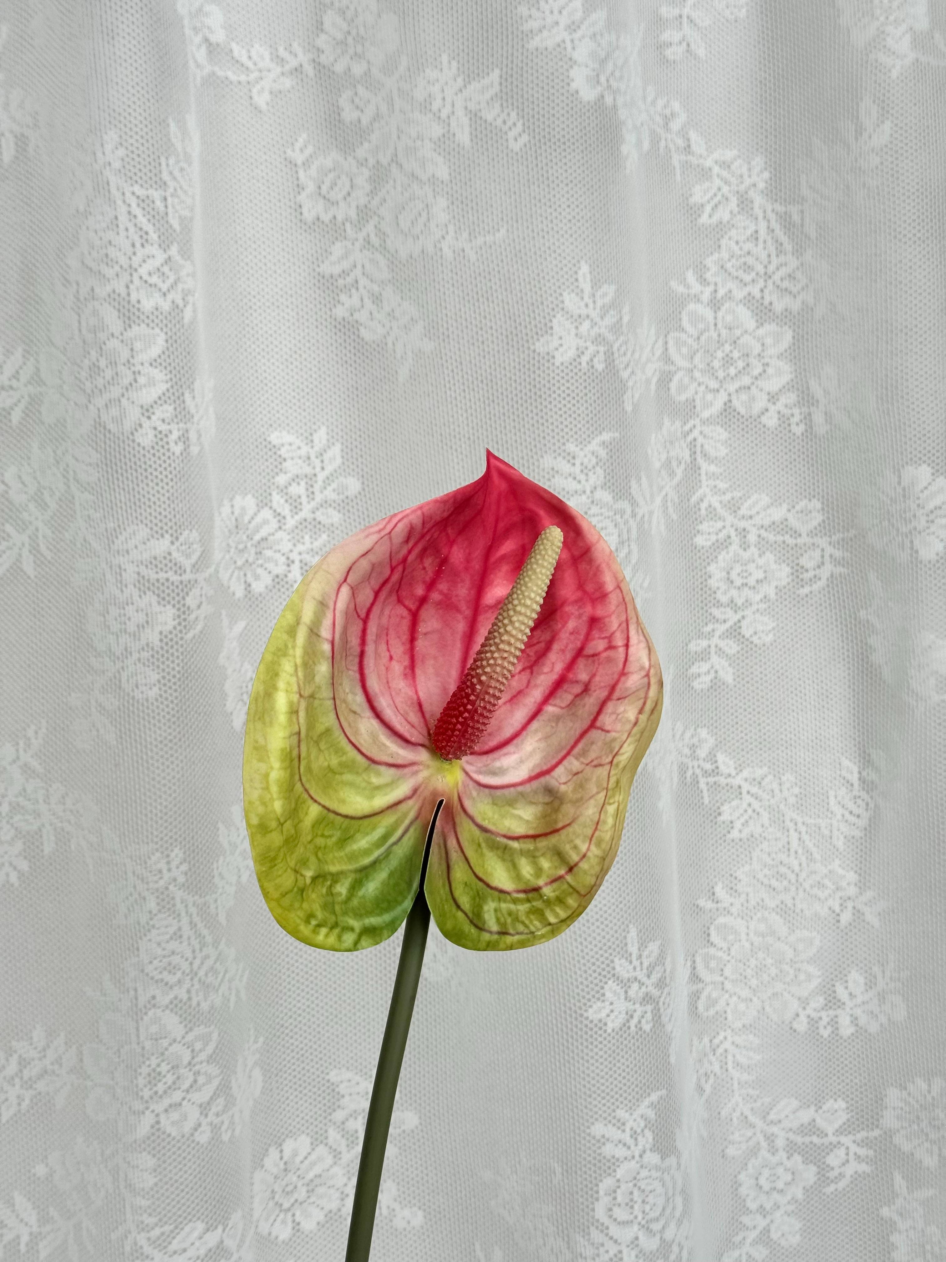 Artificial large anthurium flower by Fleuristic with vibrant red petals and lush green leaves, perfect for decorative indoor arrangements.