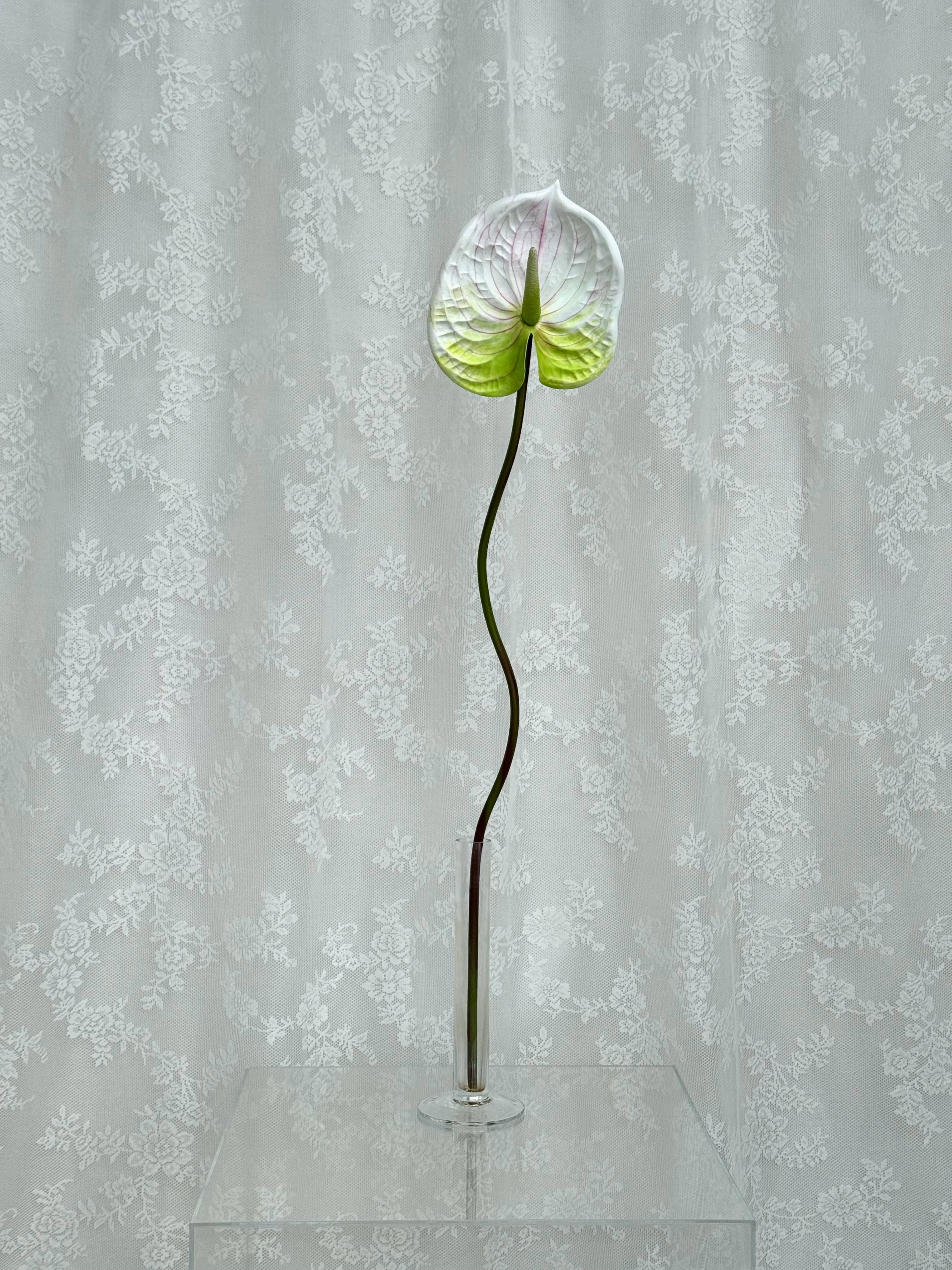 Artificial large anthurium plant by Fleuristic with vibrant red flowers and lush green leaves, perfect for home decor.