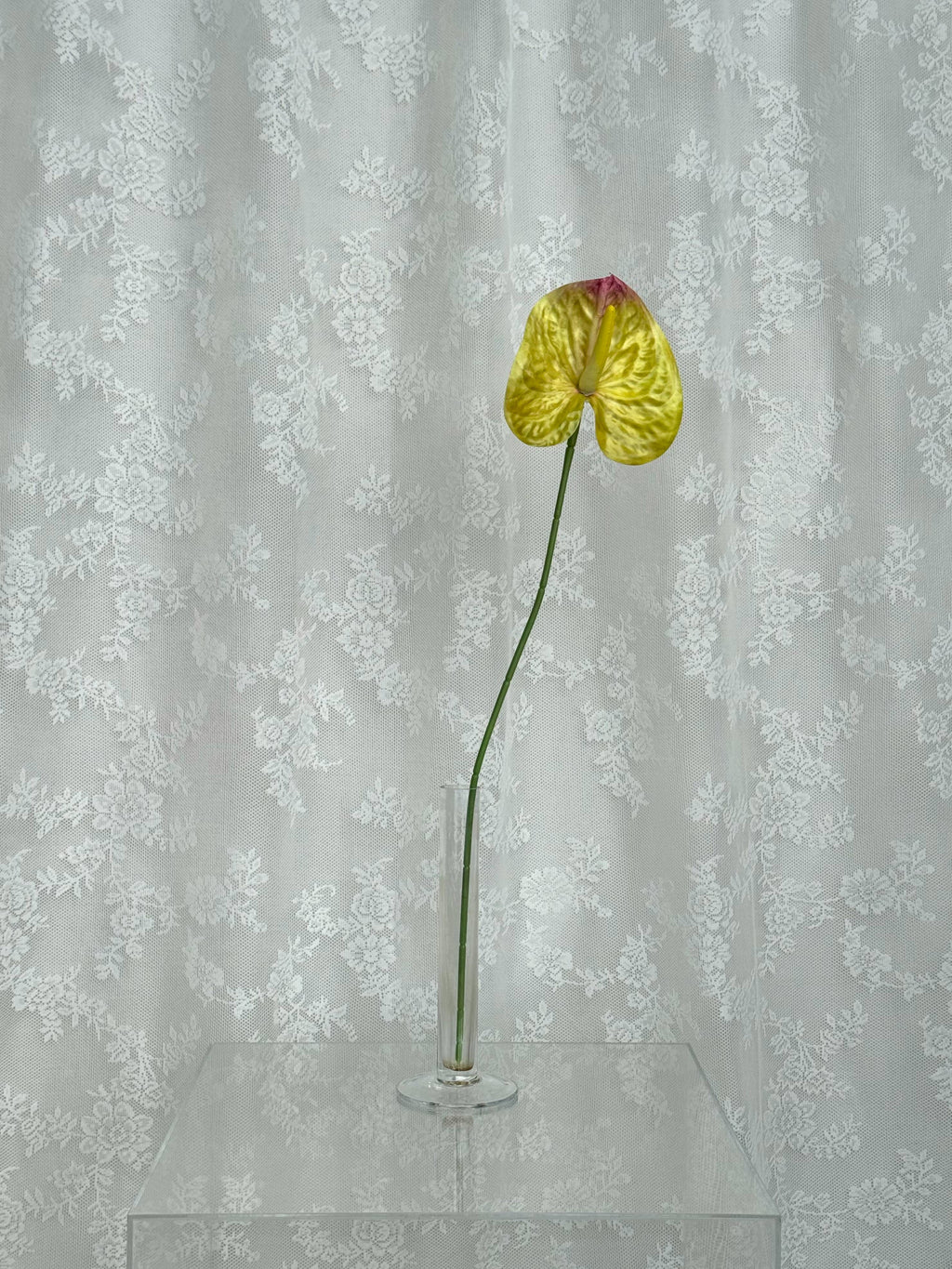 Artificial large anthurium flower by Fleuristic with vibrant red petals and lush green leaves.