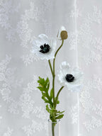 Fransk anemone - Fleuristic