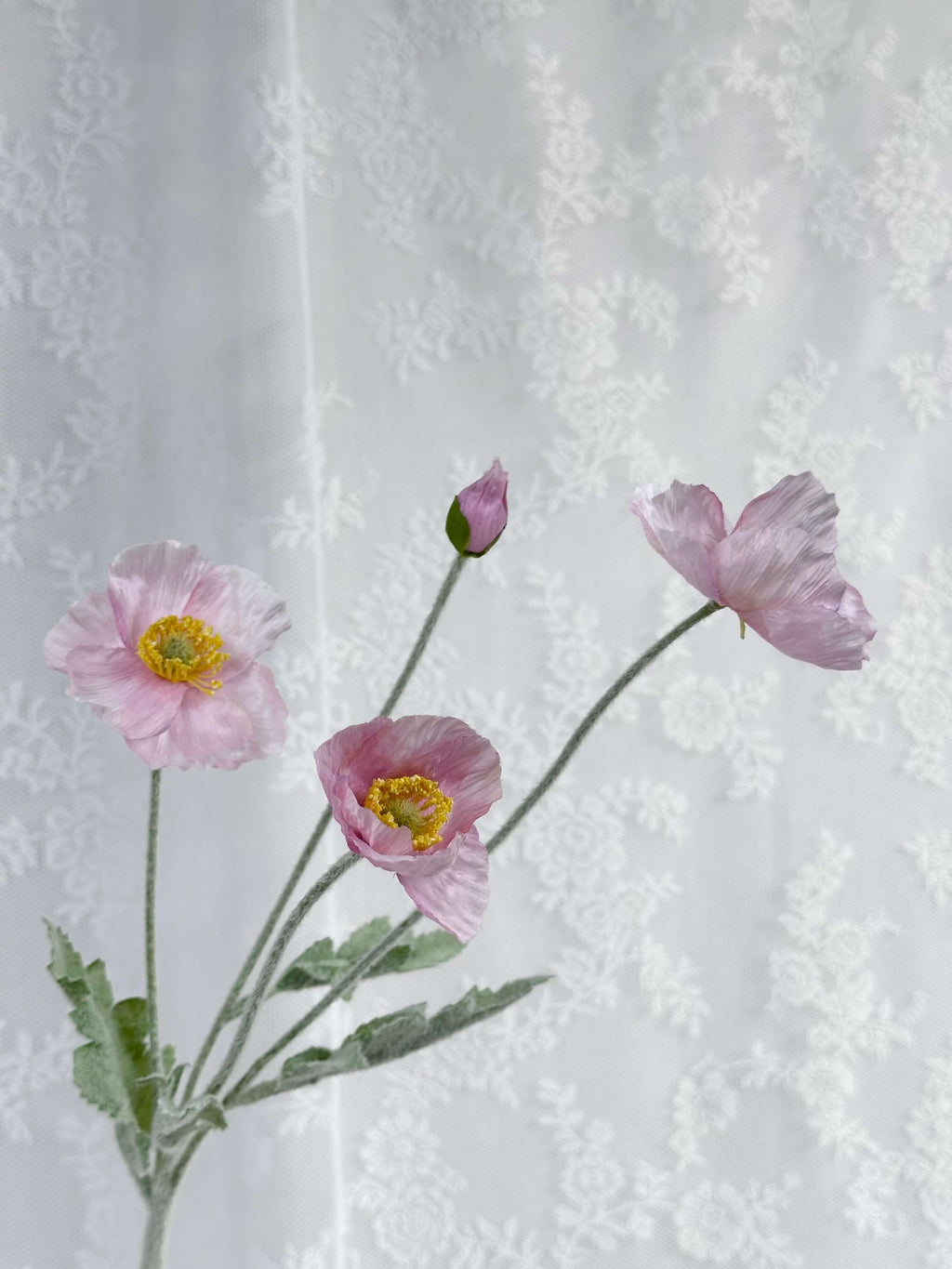 Valmue - Fleuristic