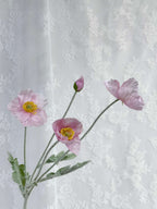 Valmue - Fleuristic