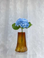 Hortensia
