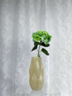 Stor hortensia