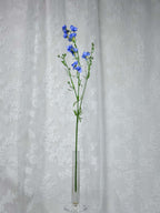 Delphinium