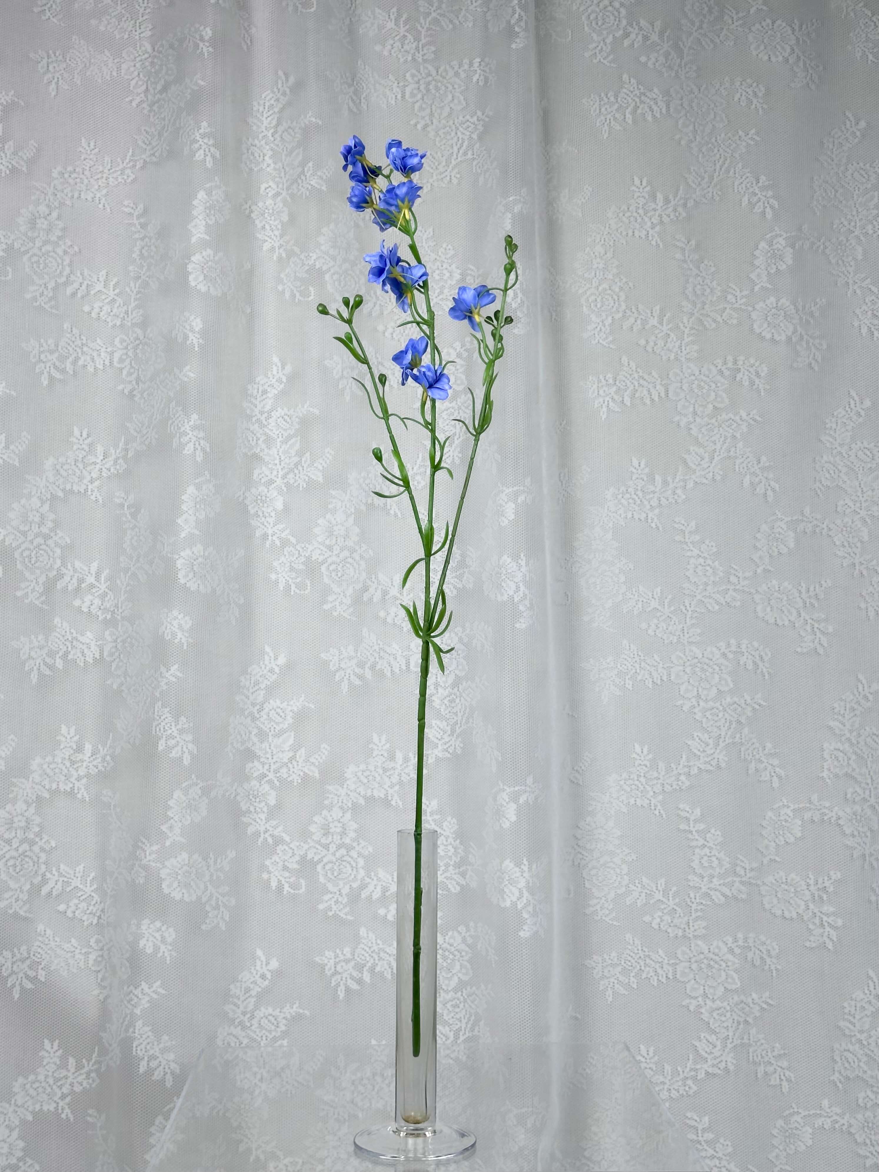 Delphinium