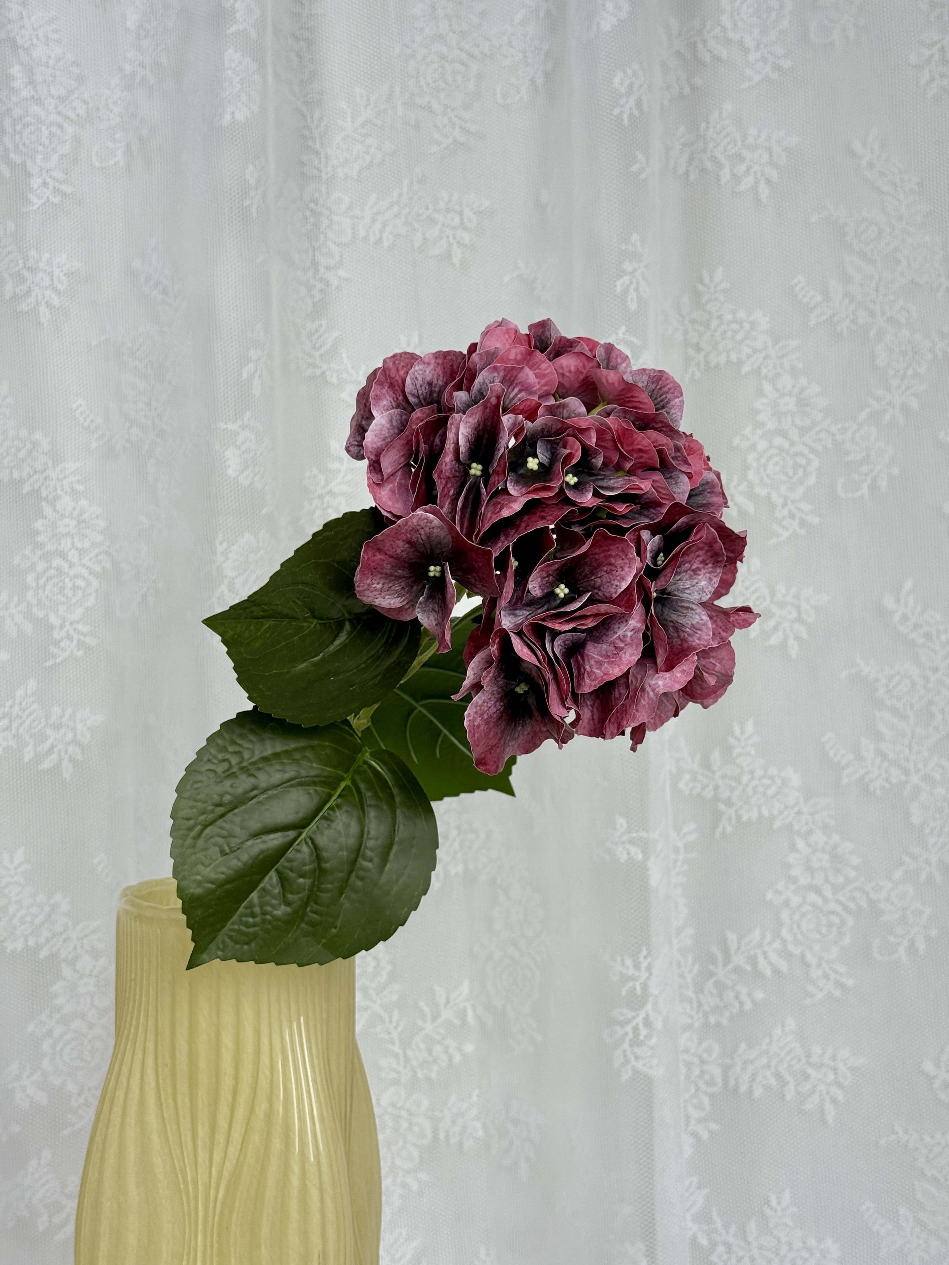 Stor hortensia
