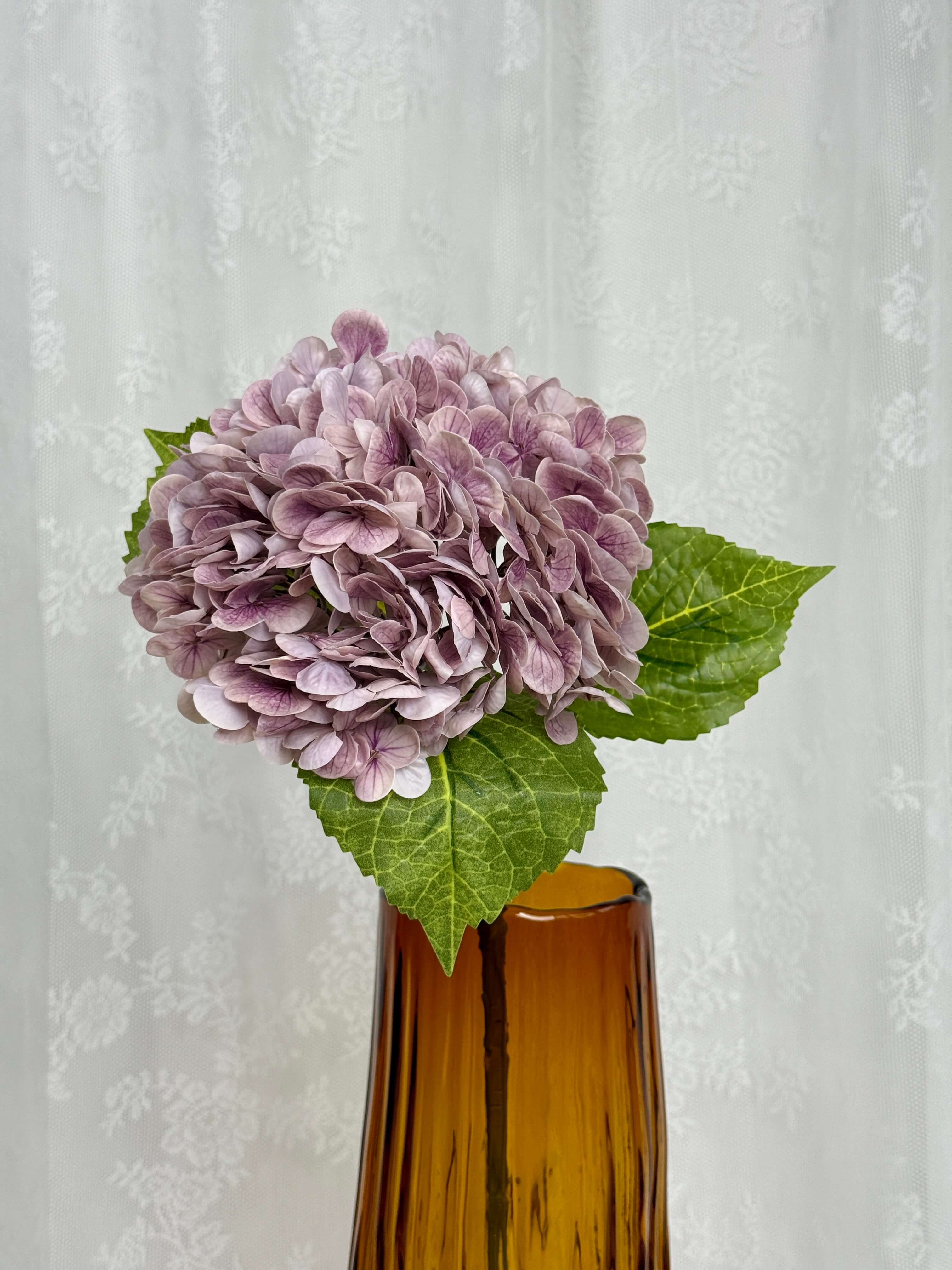Hortensia