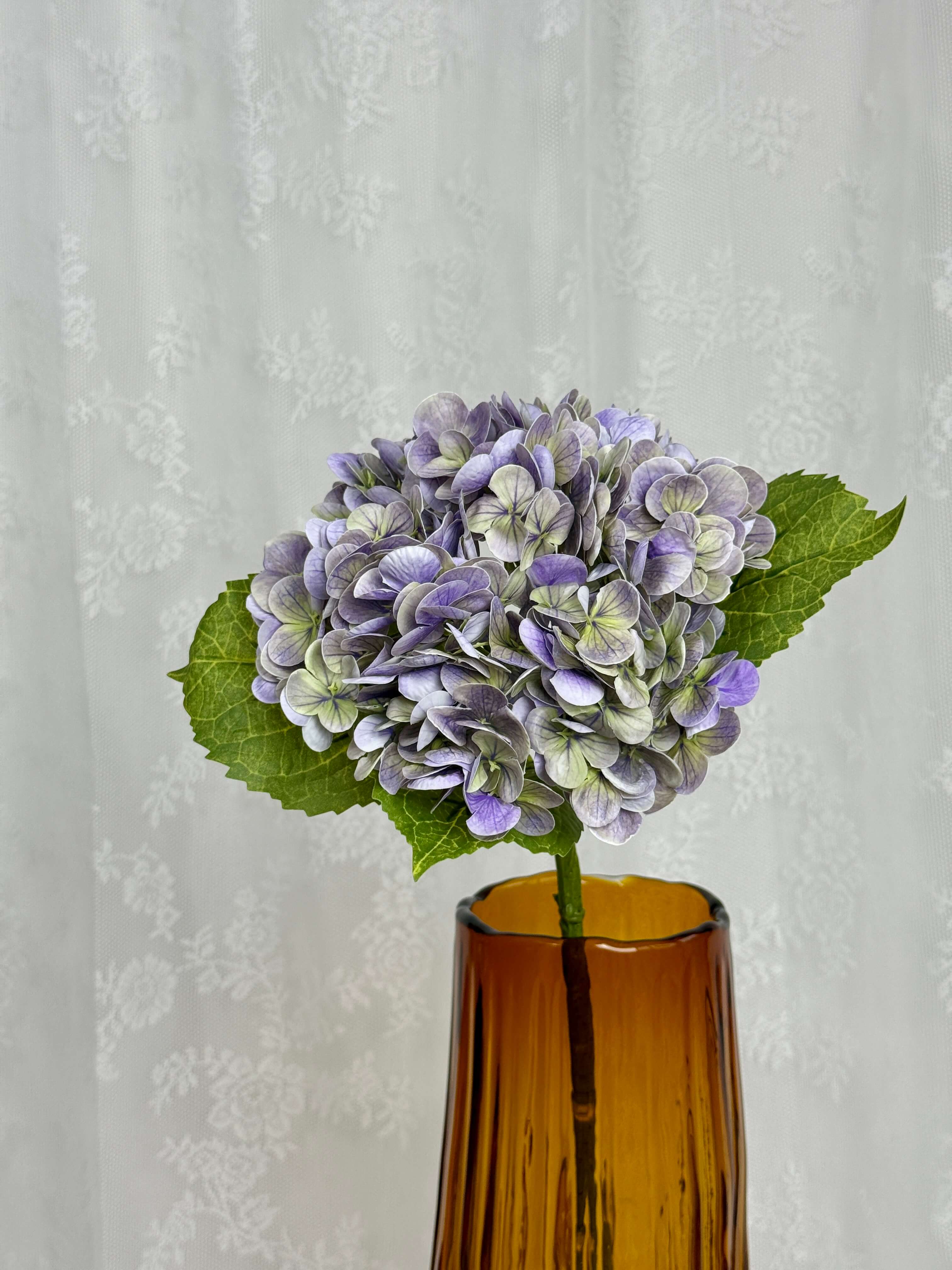 Hortensia