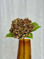 Hortensia - Fleuristic
