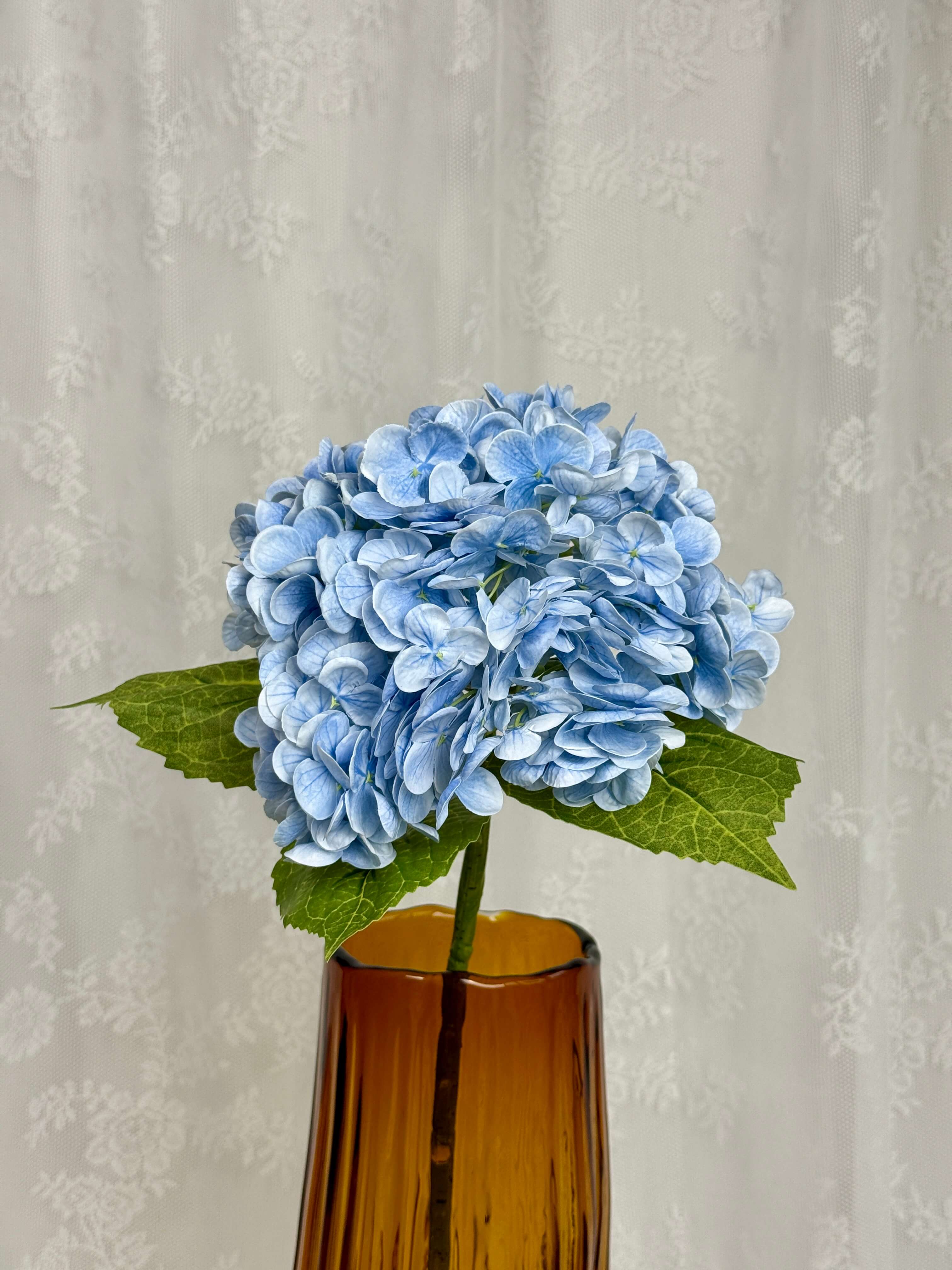 Hortensia