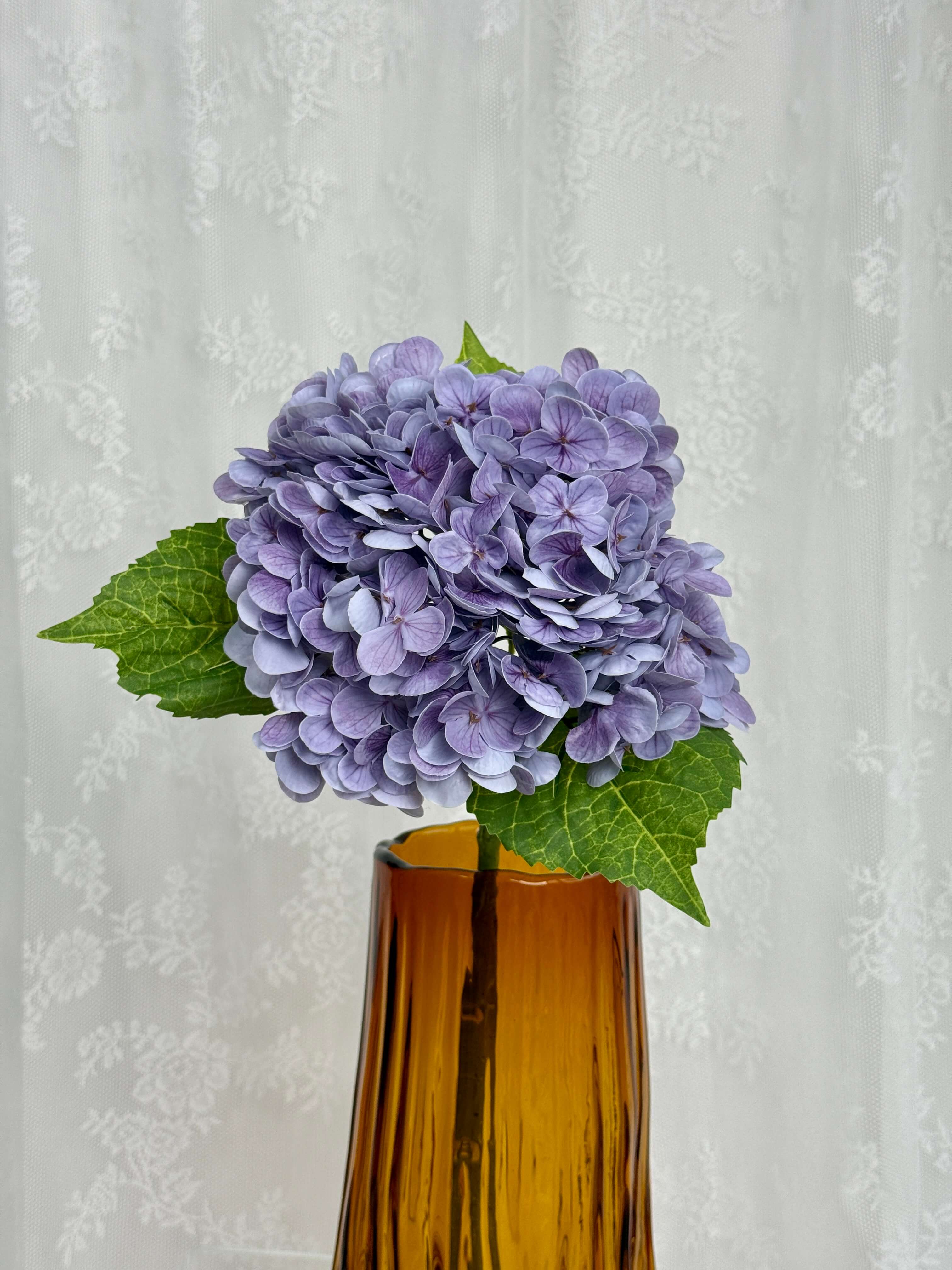 Hortensia