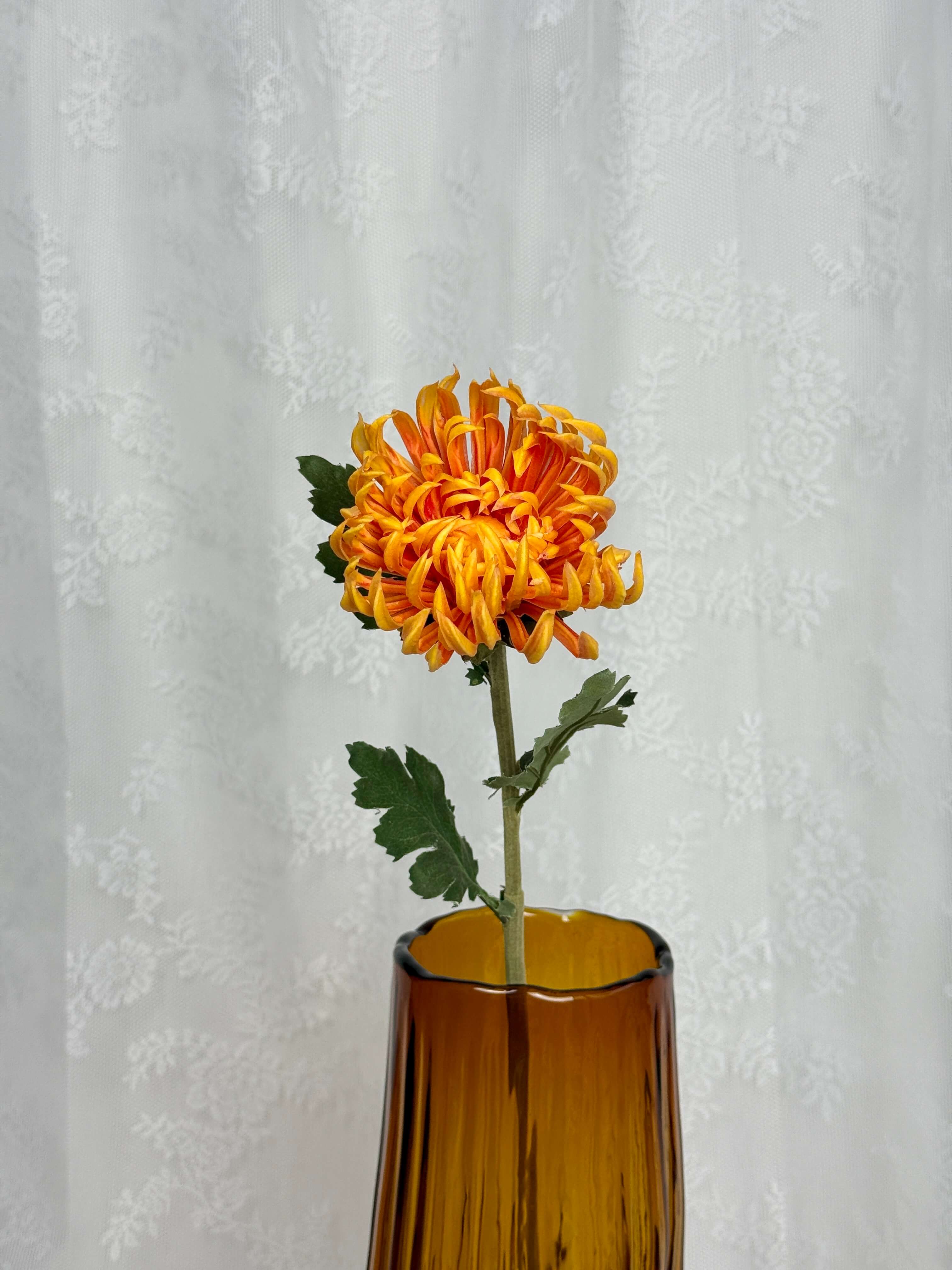 Chrysanthemum