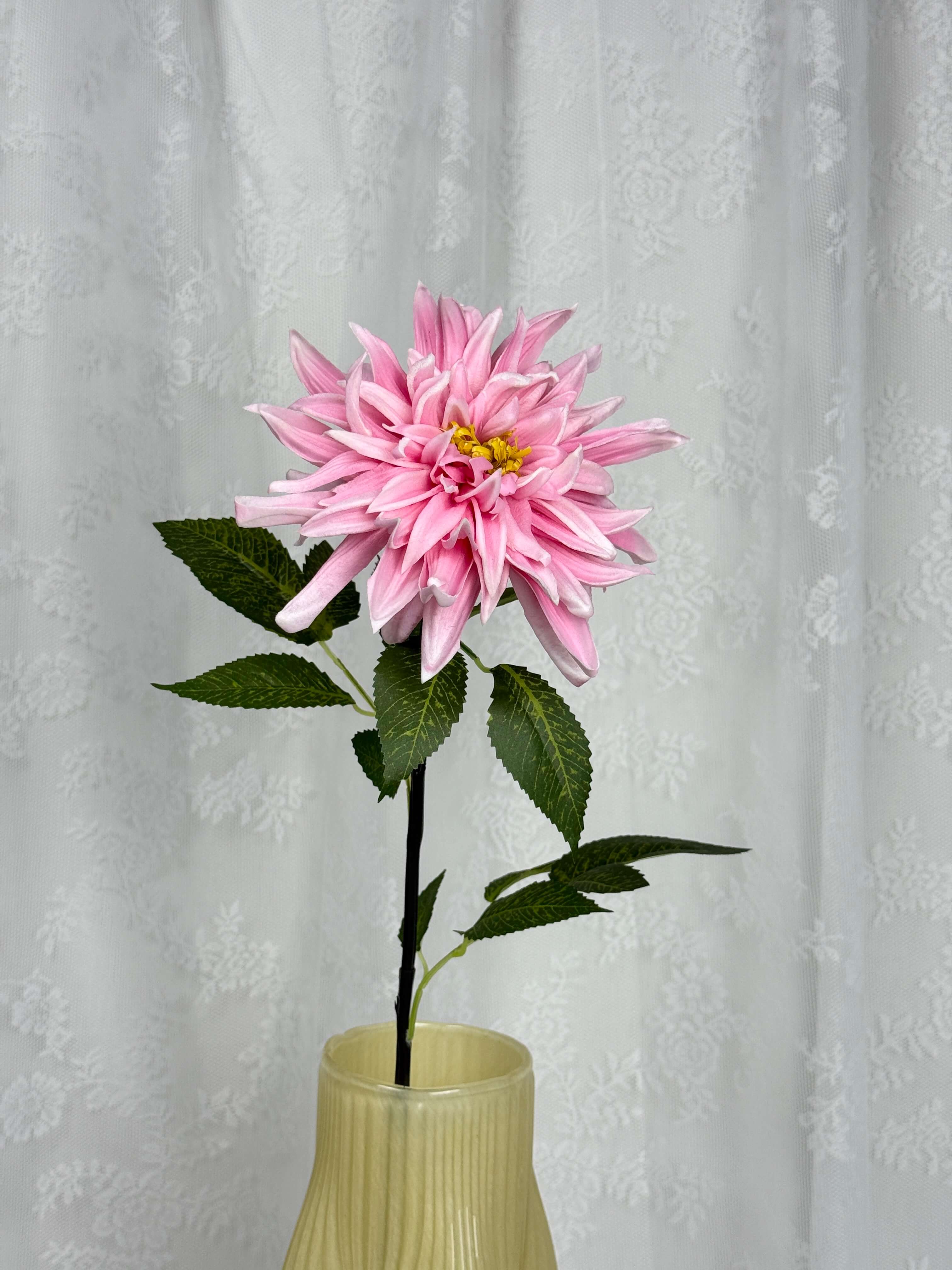 Dahlia