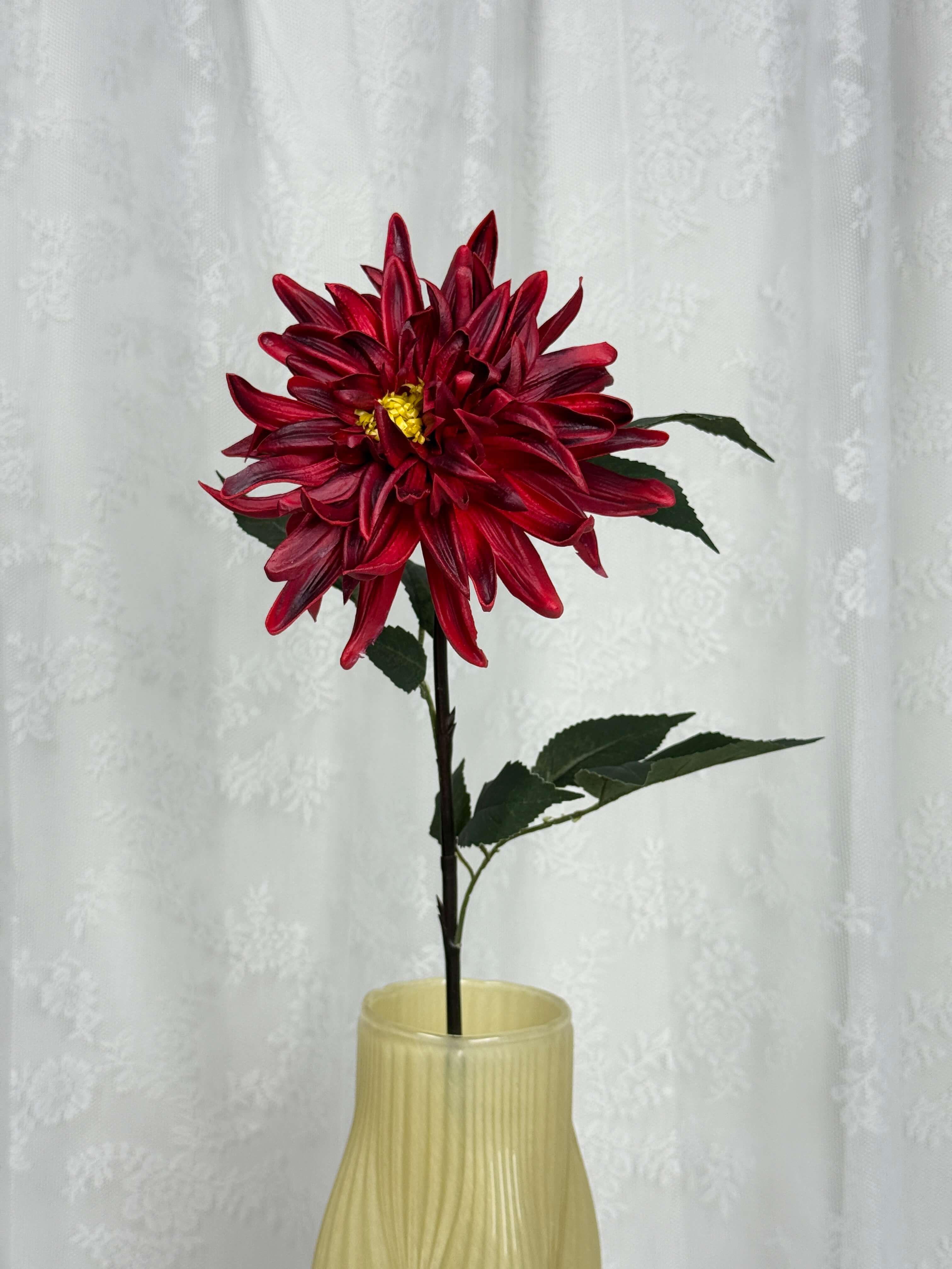 Dahlia