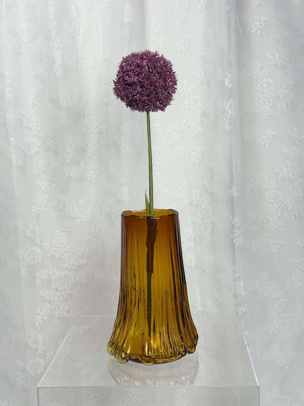 Allium