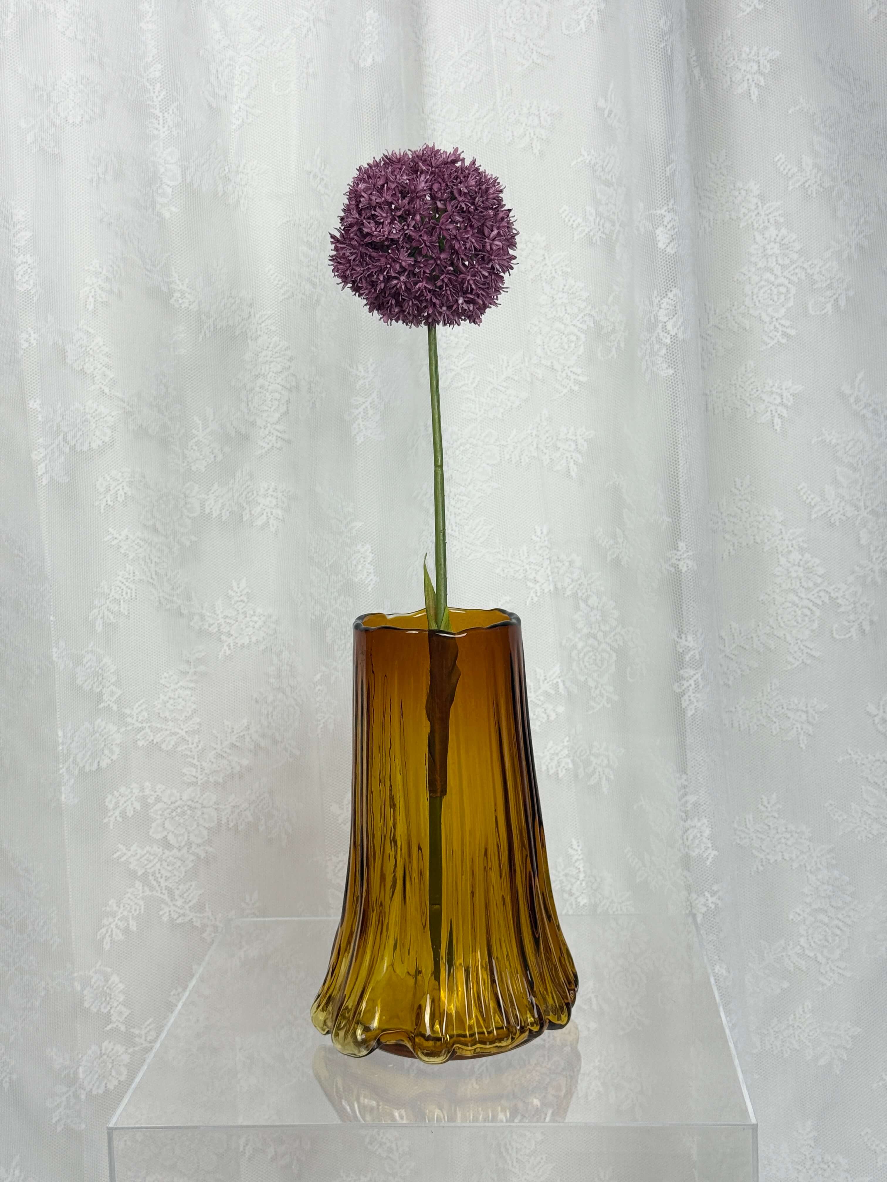 Allium