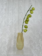 Kunstig ballon plante (gomphocarpus physocarpus)