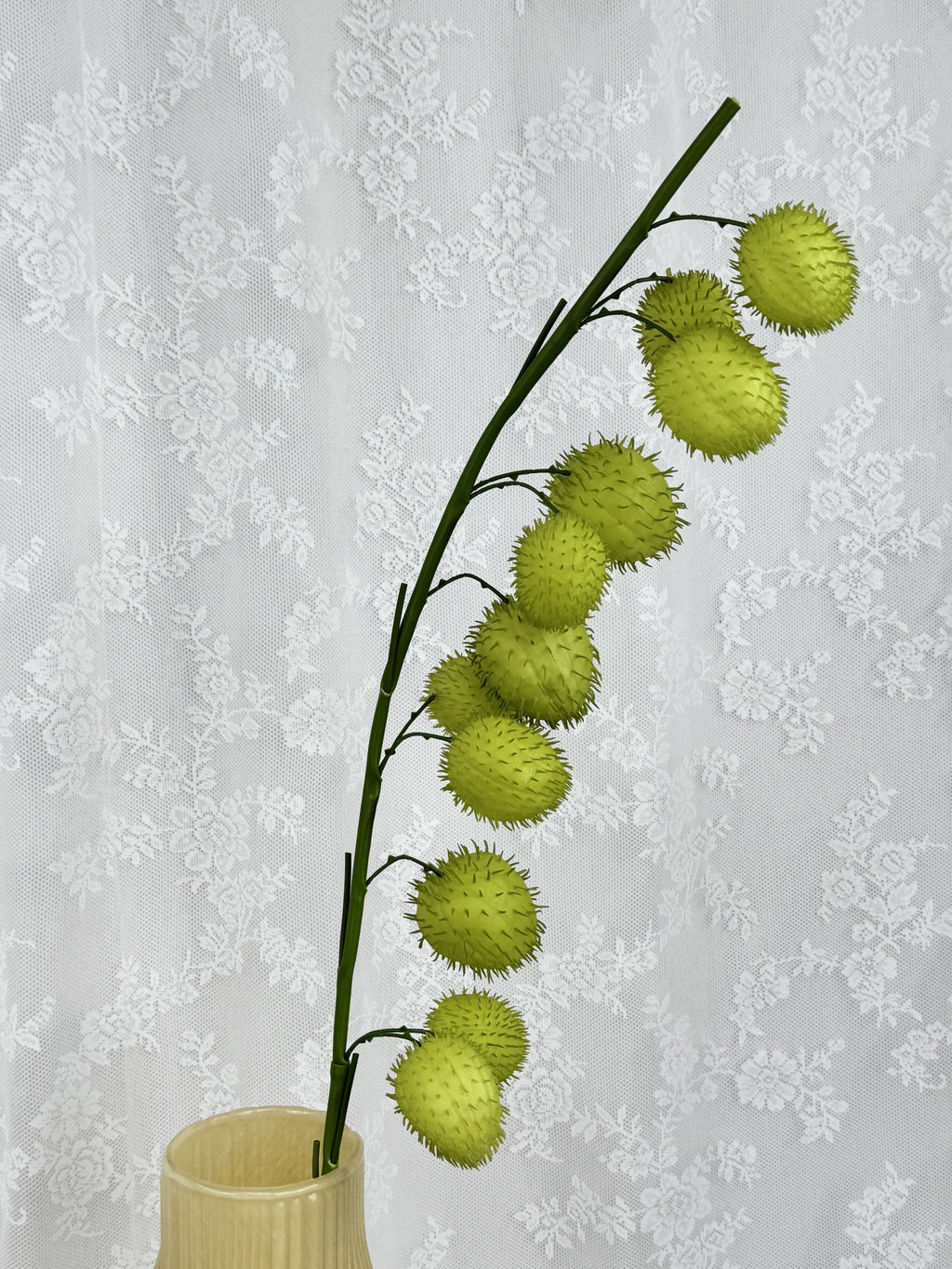 Kunstig ballon plante (gomphocarpus physocarpus)