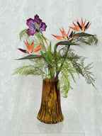 Tropical Birds