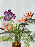 Tropical Birds