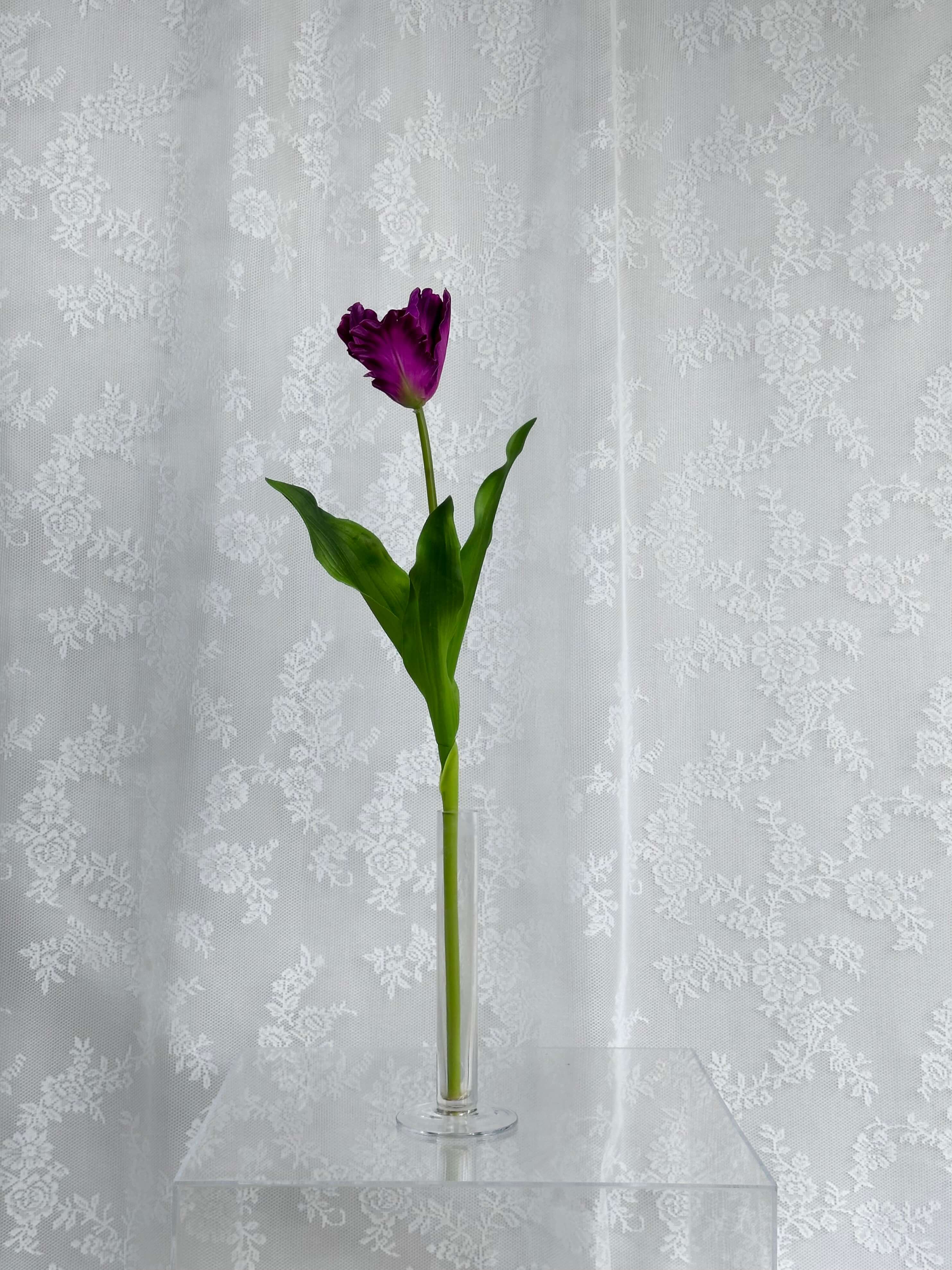 Kunstig papegøje tulipan lilla