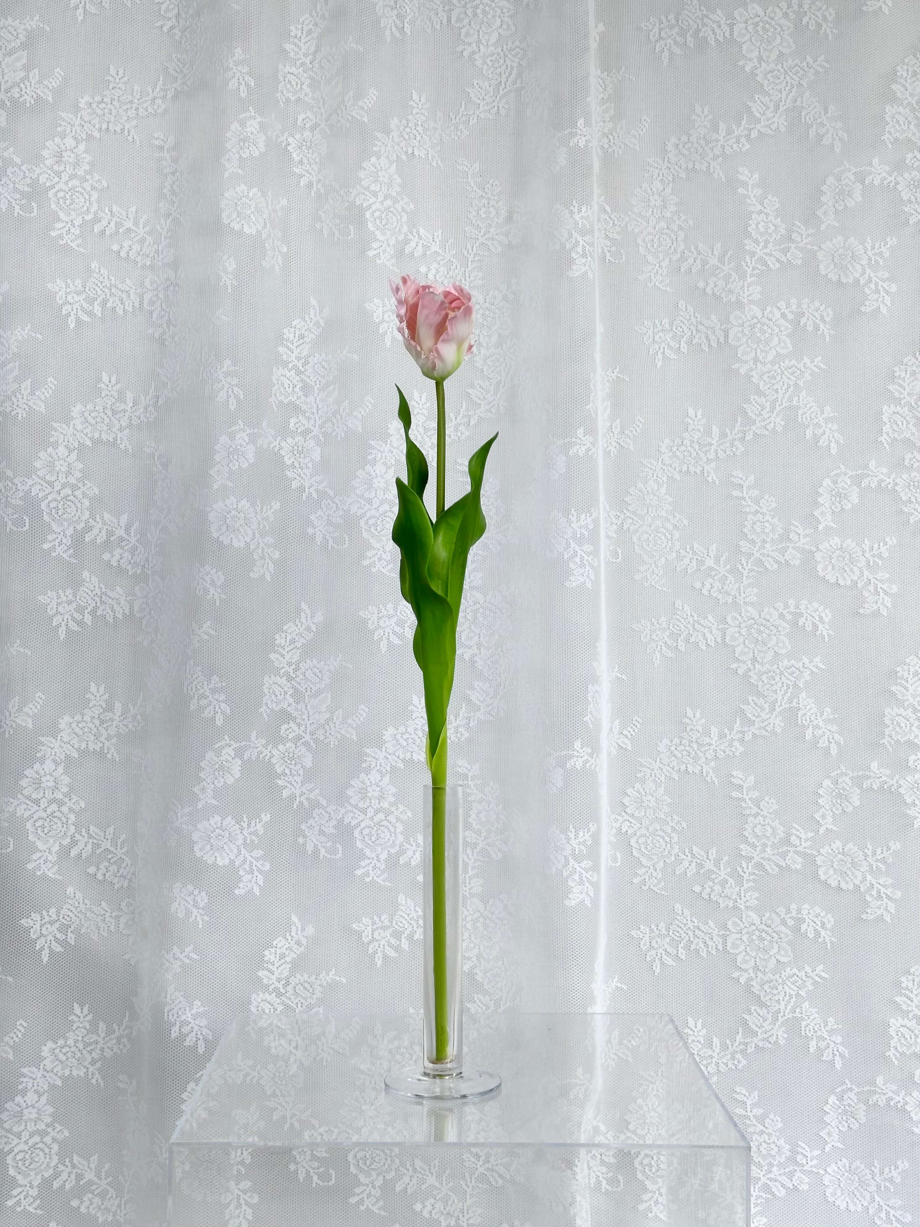 Kunstig papegøje tulipan lyserød