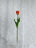 Kunstig papegøje tulipan orange