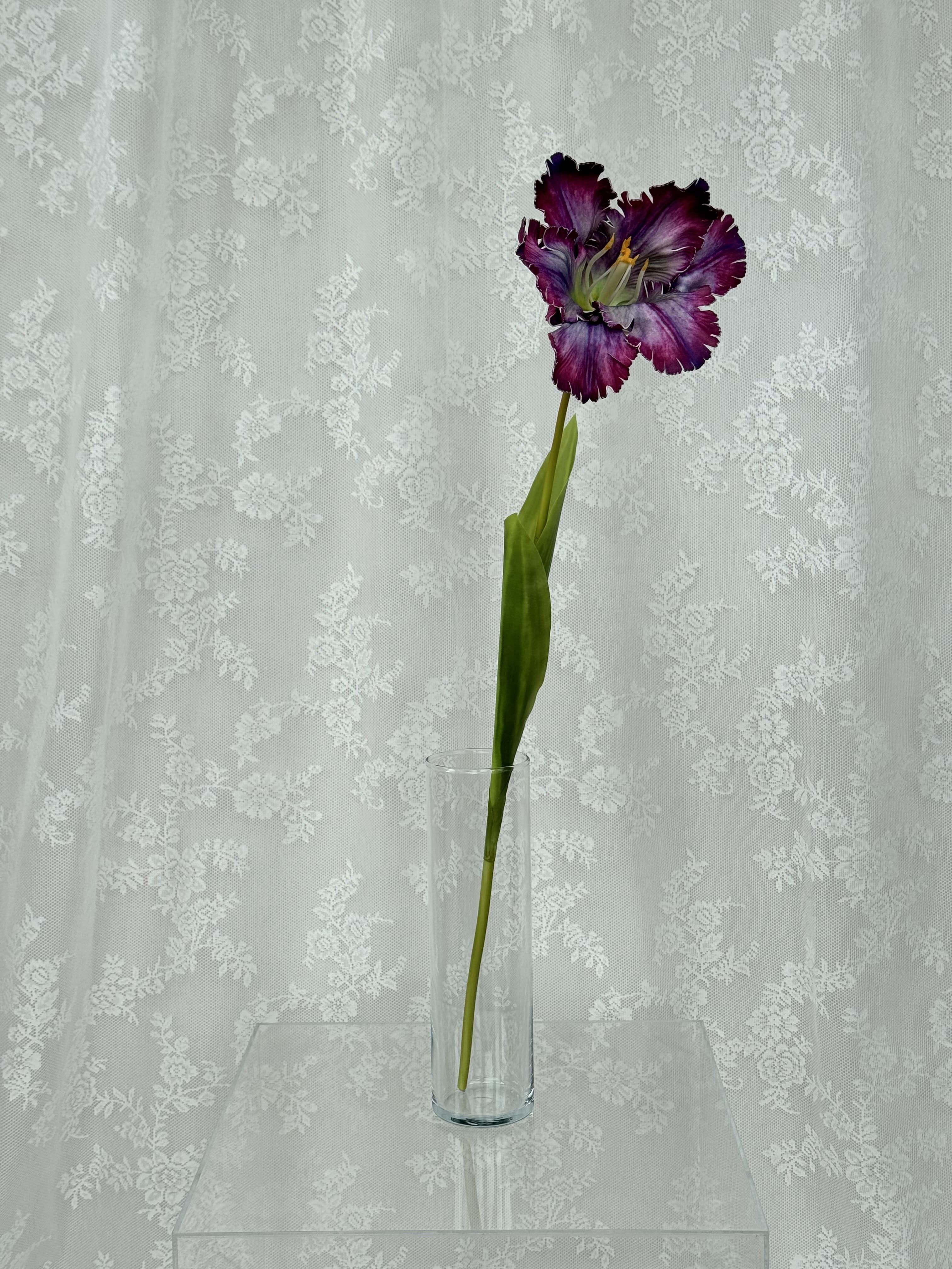 Kunstig papegøje tulipan