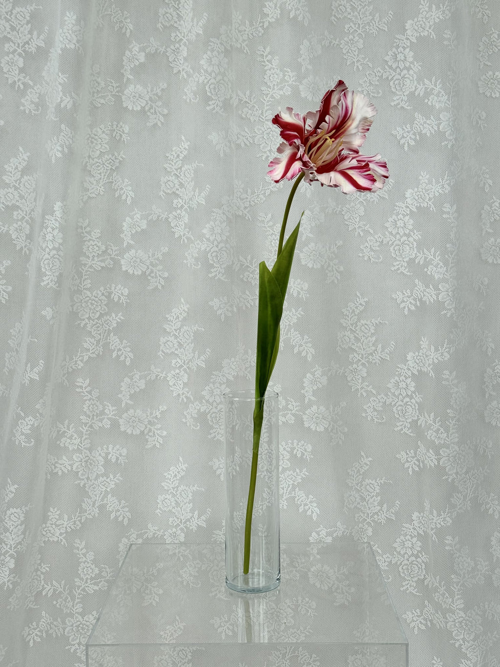 Kunstig papegøje tulipan