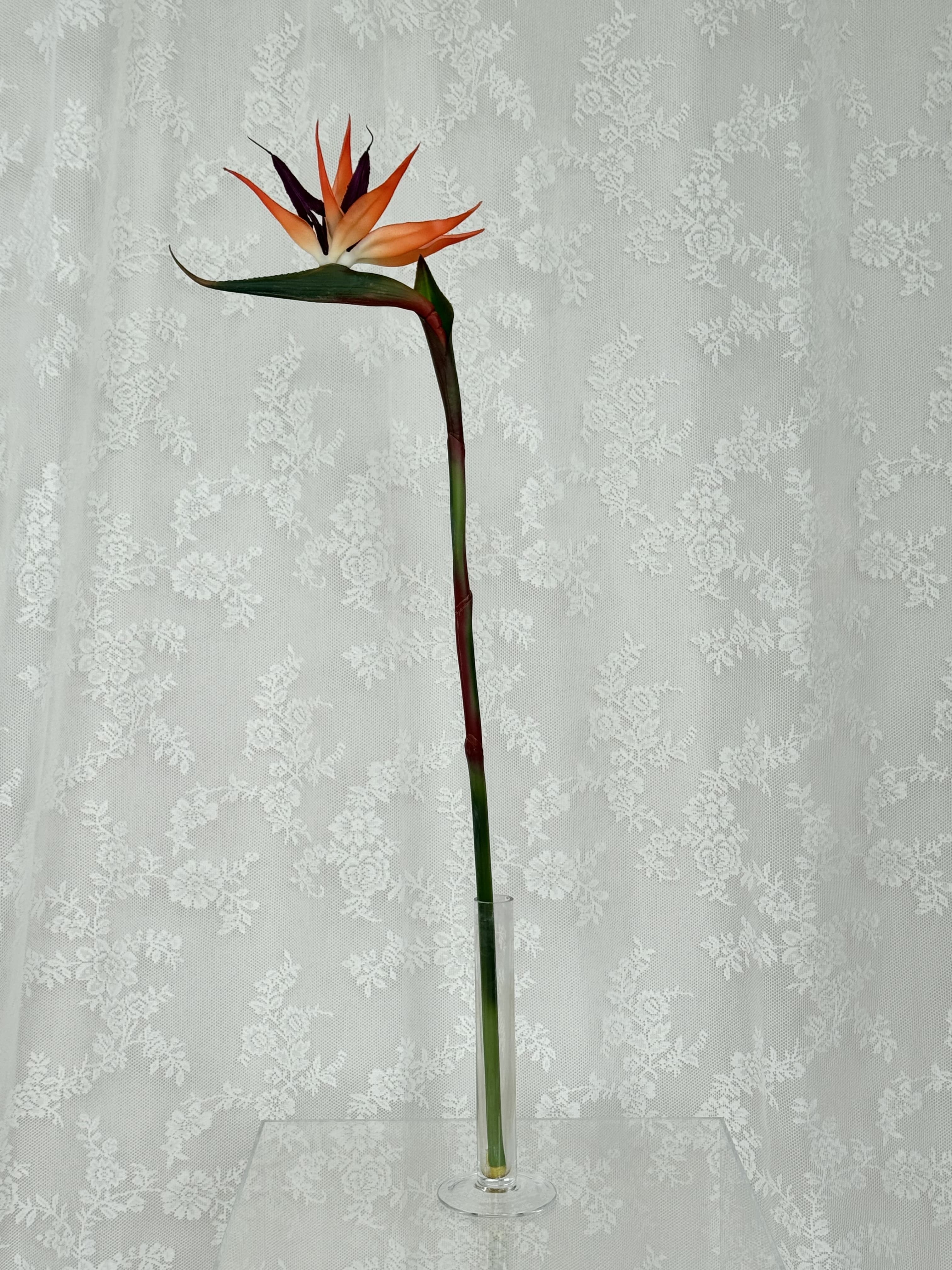 Kunstig paradisfugl (strelitzia)