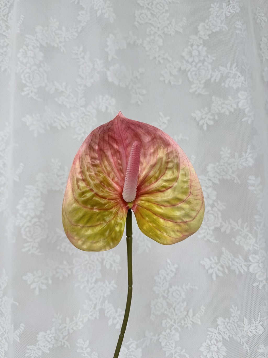 Kunstig stor anthurium