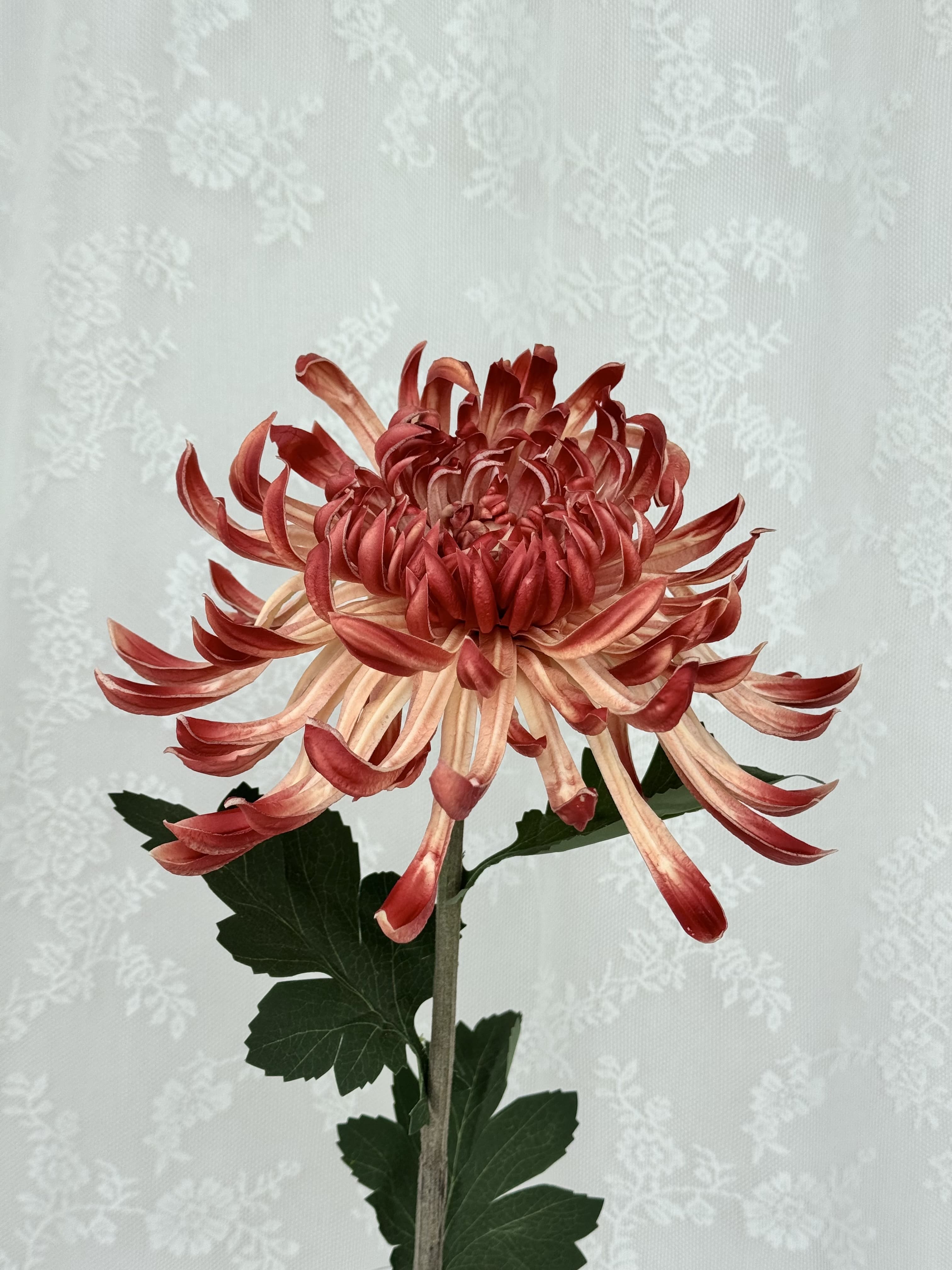 Kunstig stor chrysanthemum