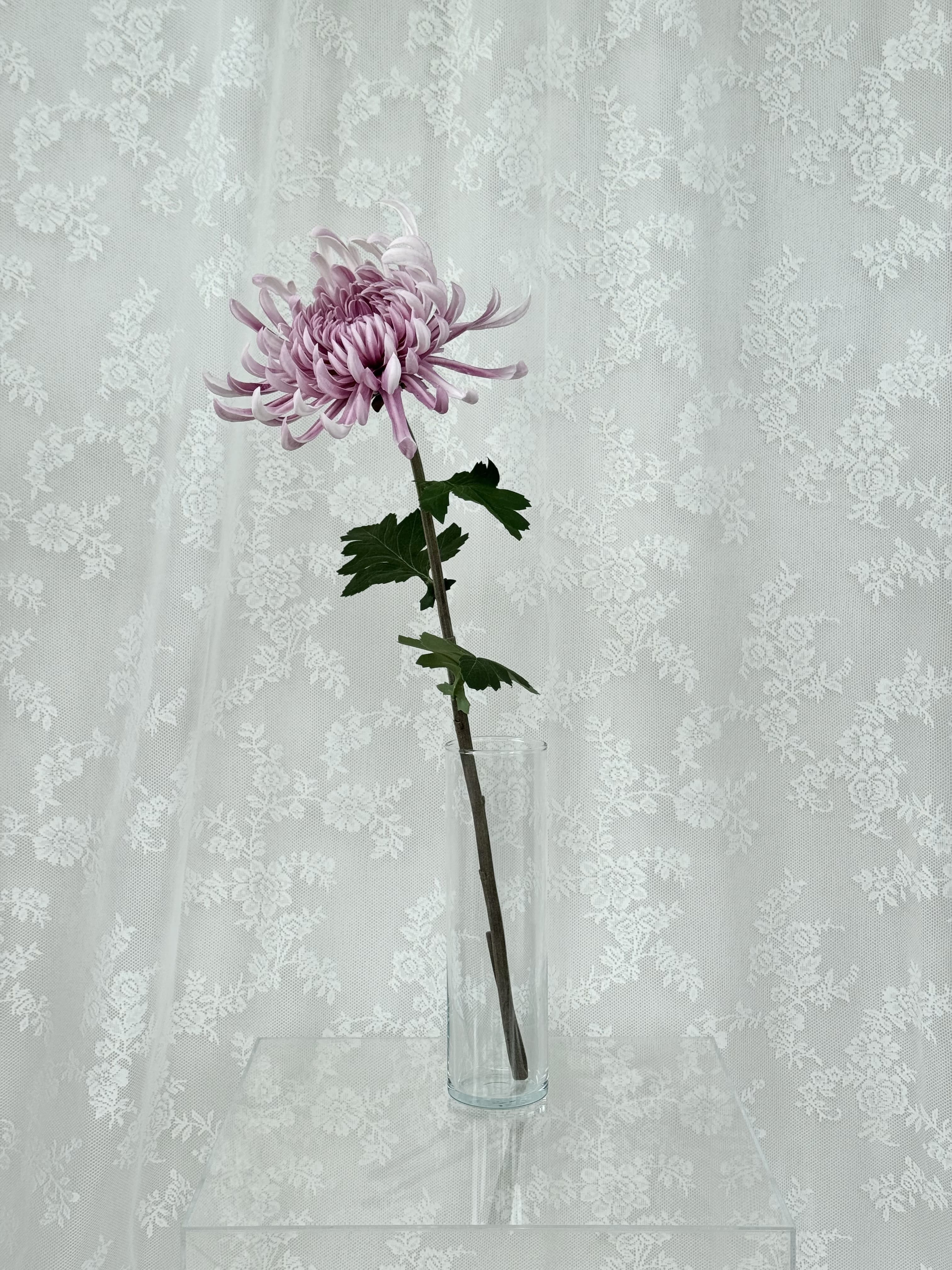 Kunstig stor chrysanthemum