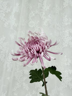 Kunstig stor chrysanthemum