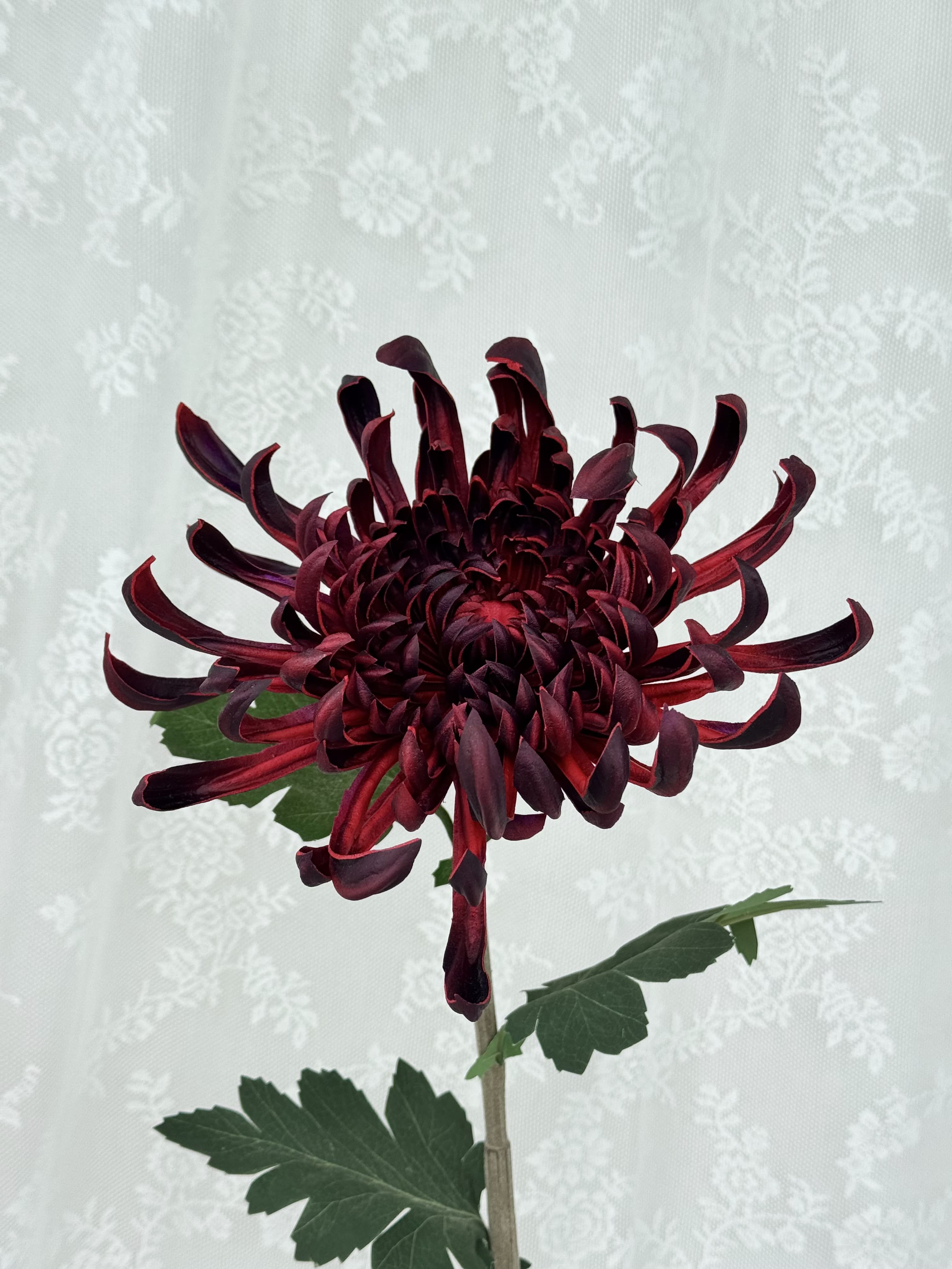 Kunstig stor chrysanthemum