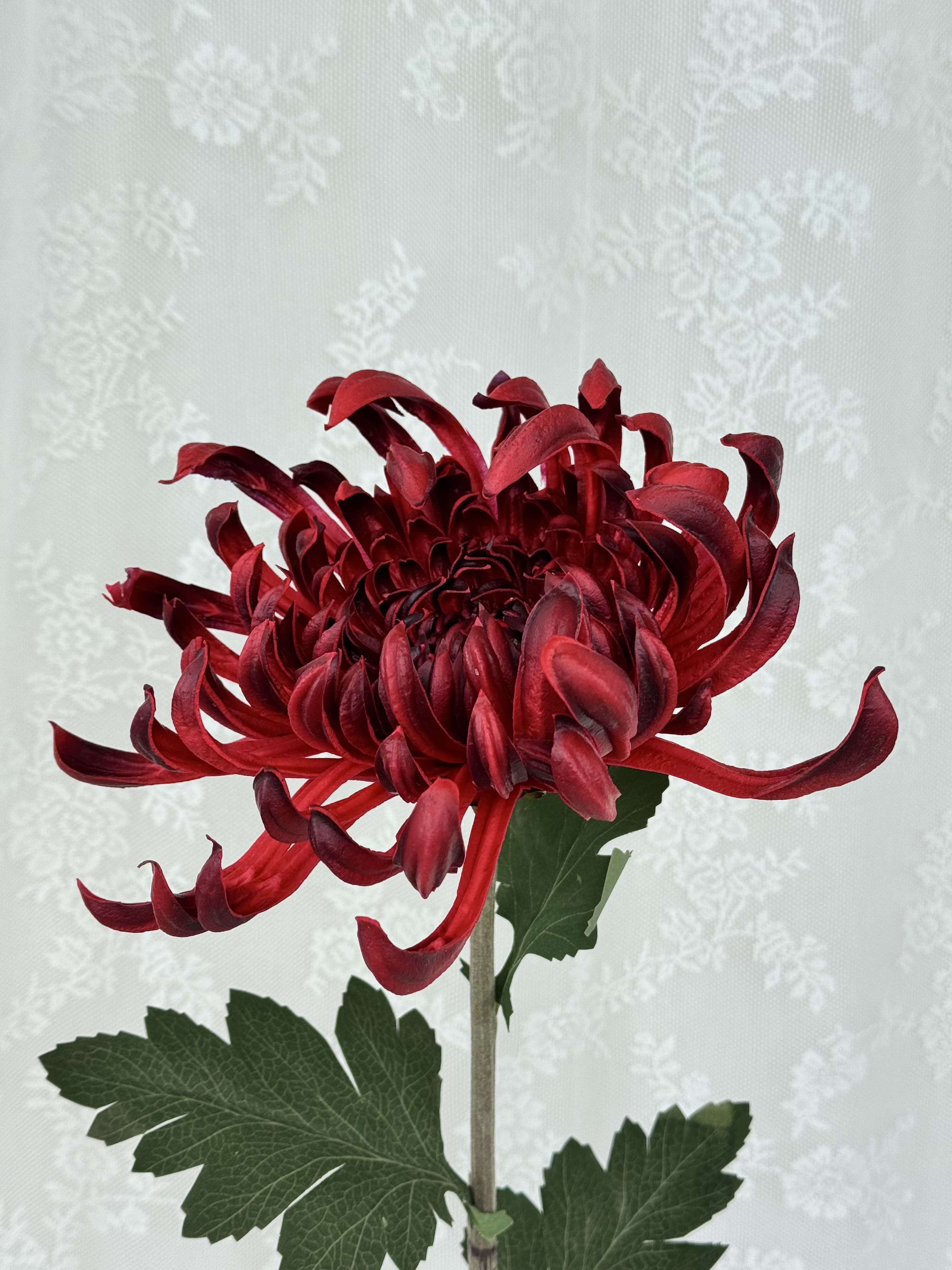 Kunstig stor chrysanthemum