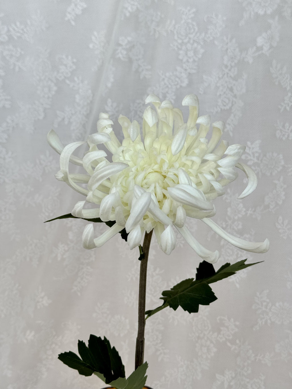 Large white artificial chrysanthemum flower by Fleuristic with detailed petals and realistic appearance.
