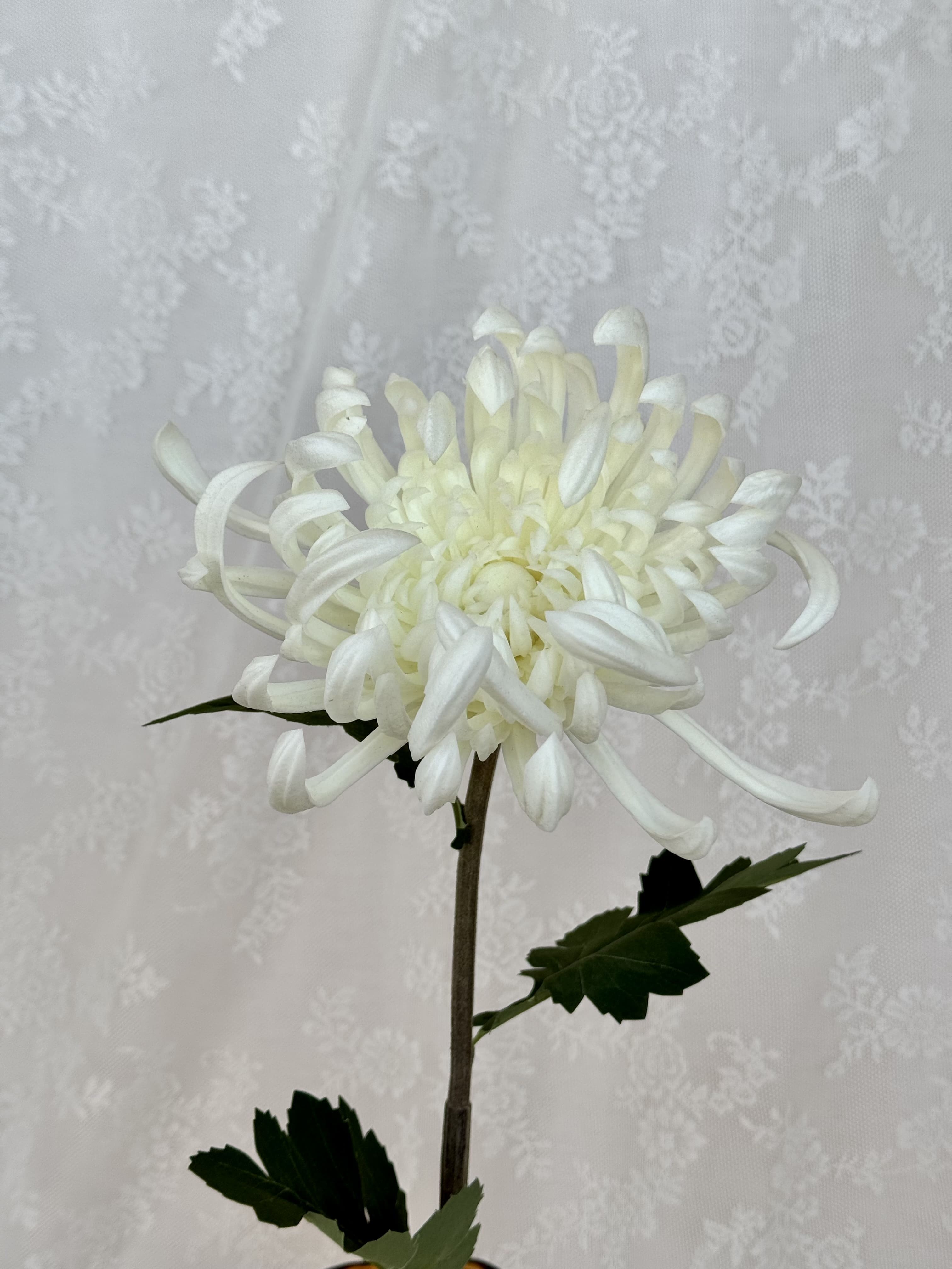 Large white artificial chrysanthemum flower by Fleuristic with detailed petals and realistic appearance.