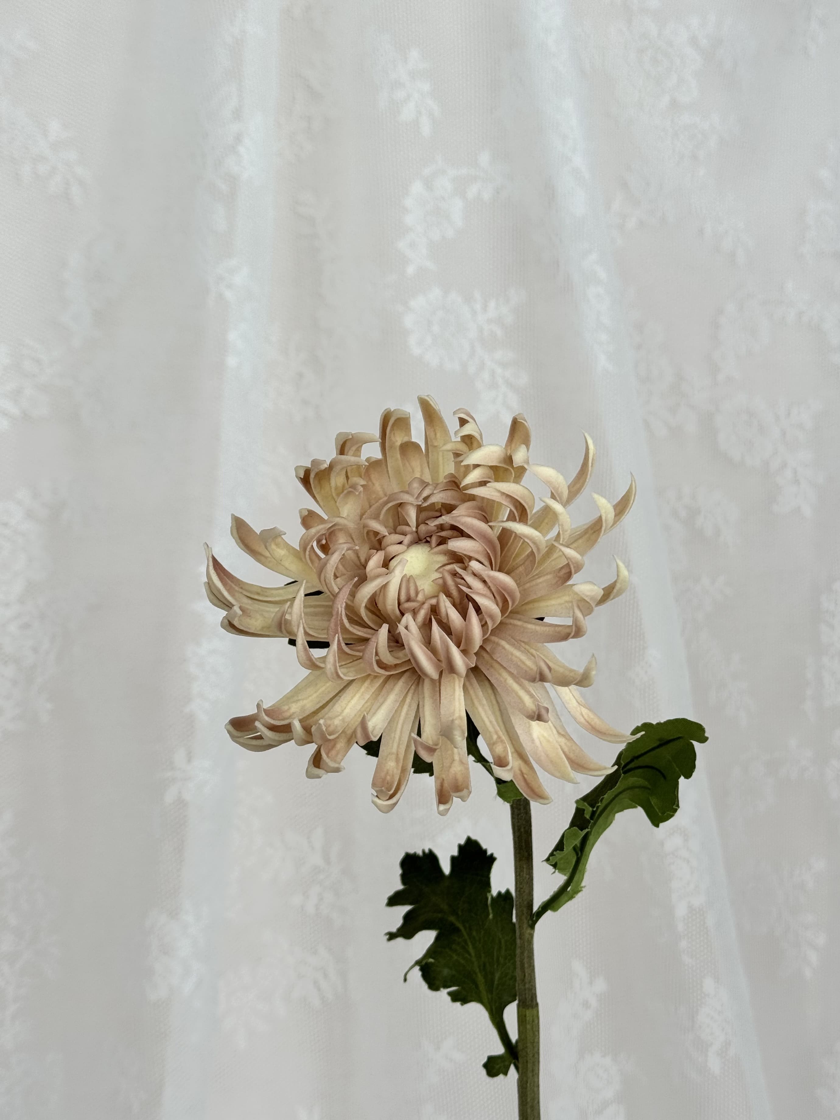 Cream-colored artificial chrysanthemum flower by Fleuristic with detailed petals and realistic appearance.