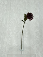 Nålepude protea