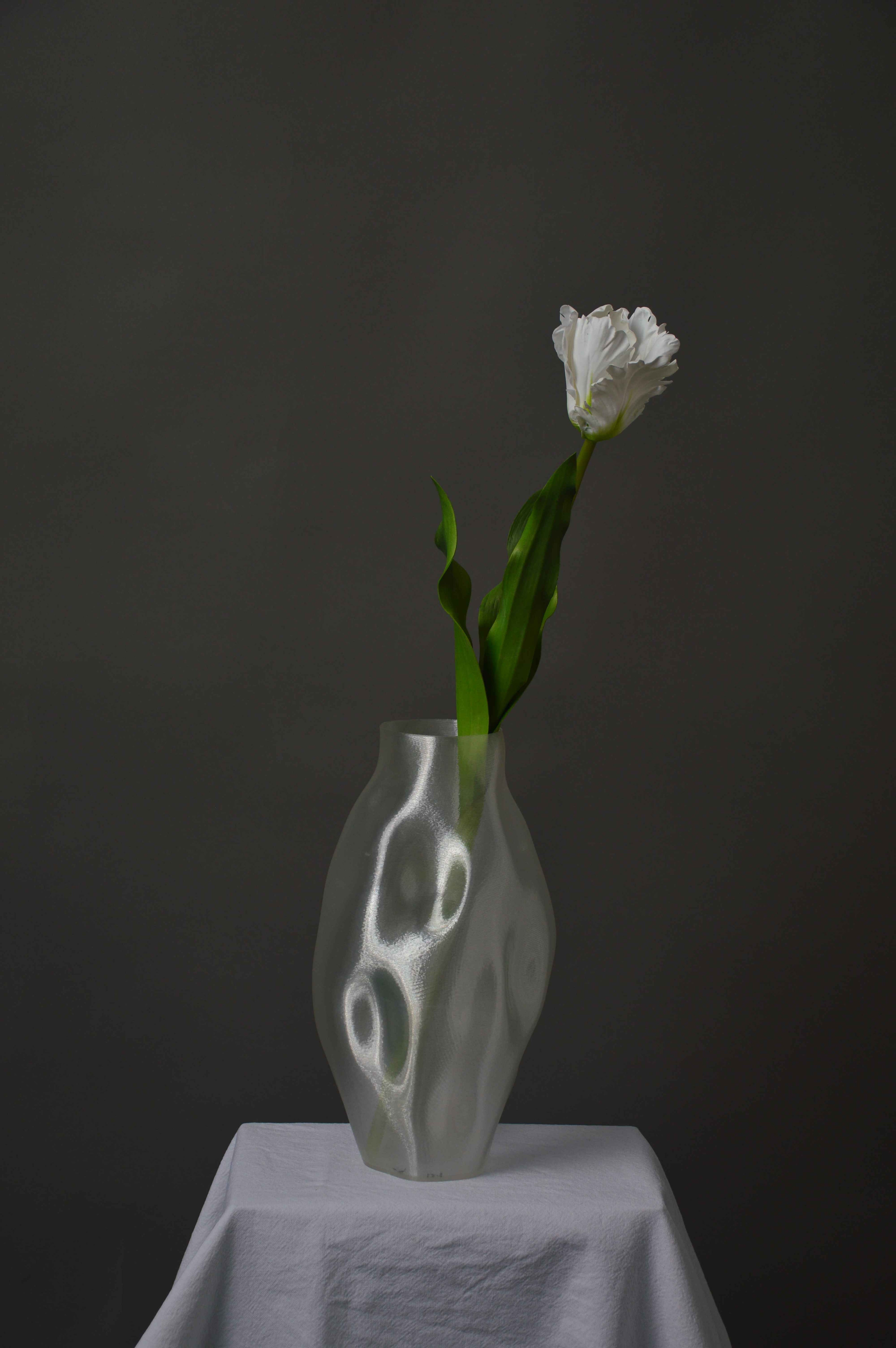 Papegøje tulipan