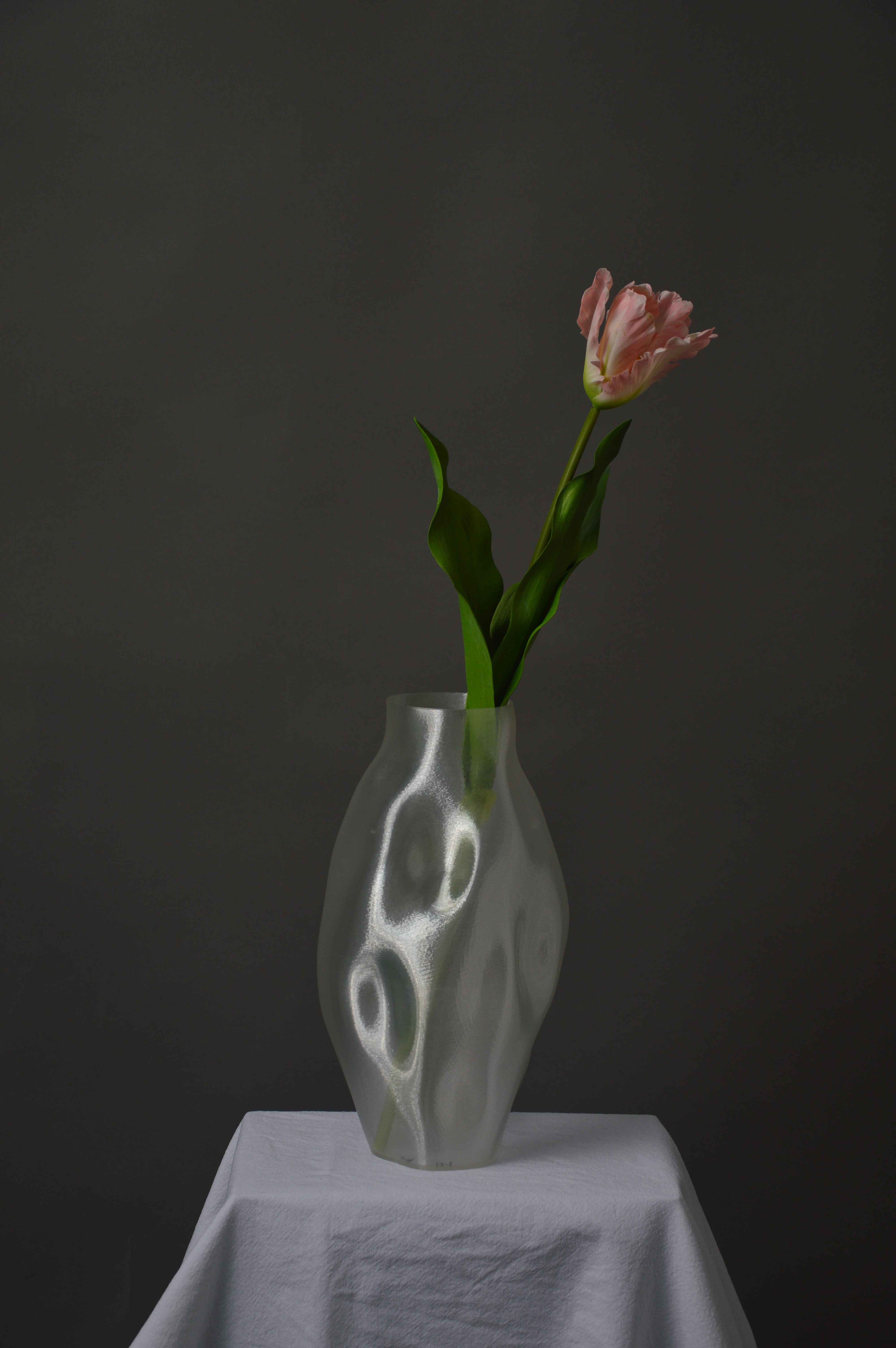 Papegøje tulipan