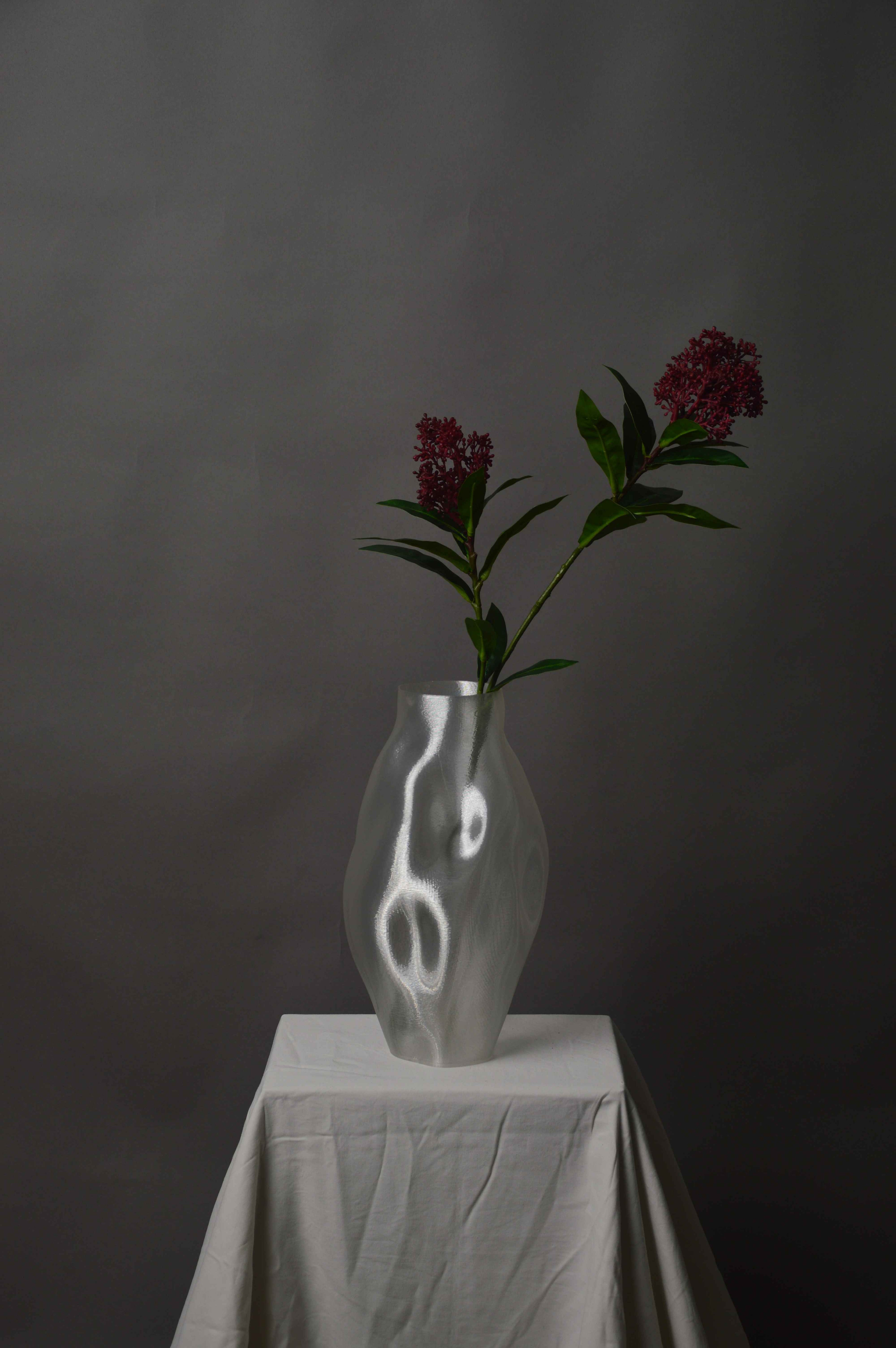 Skimmia