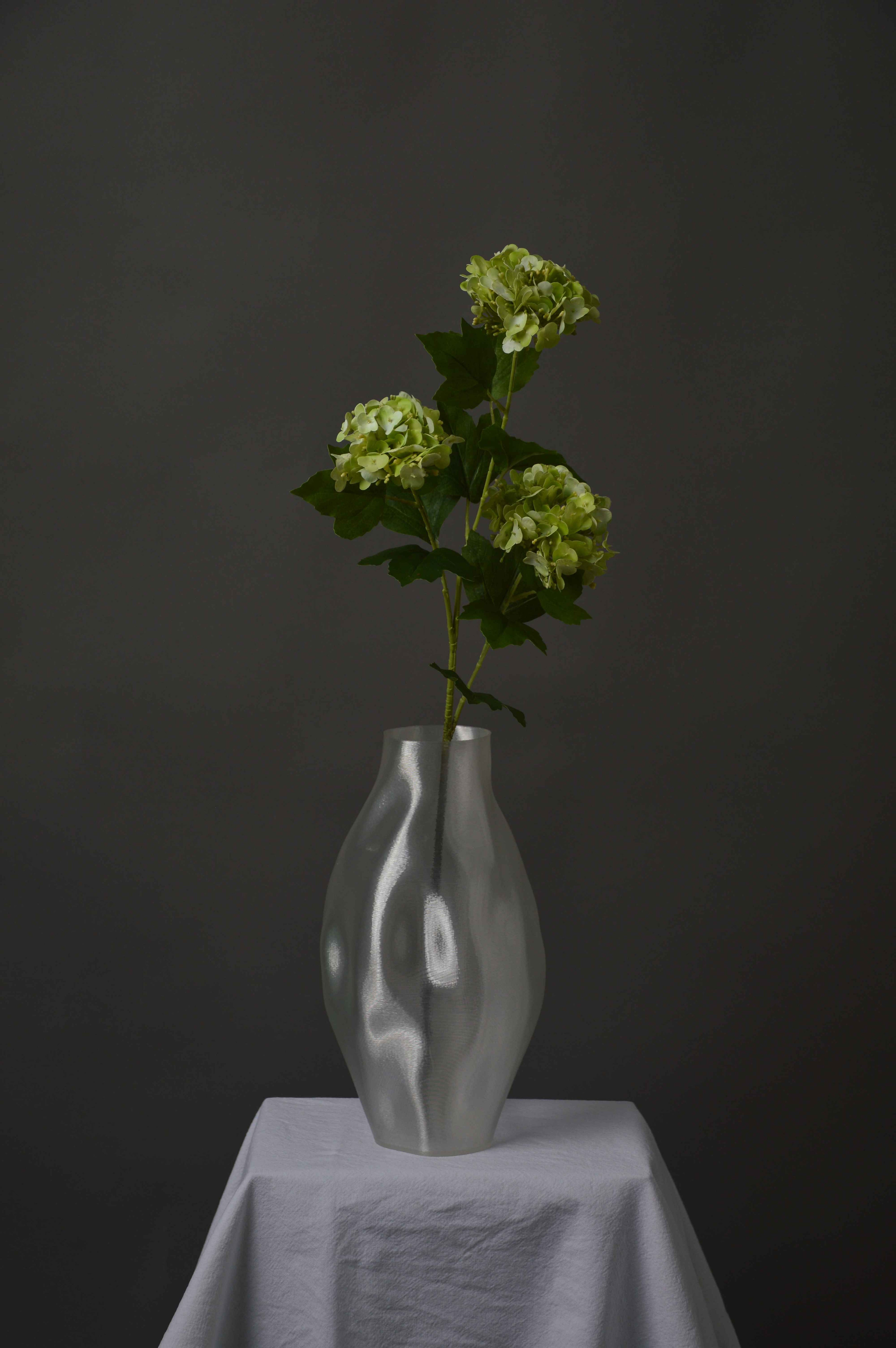 Have hortensia