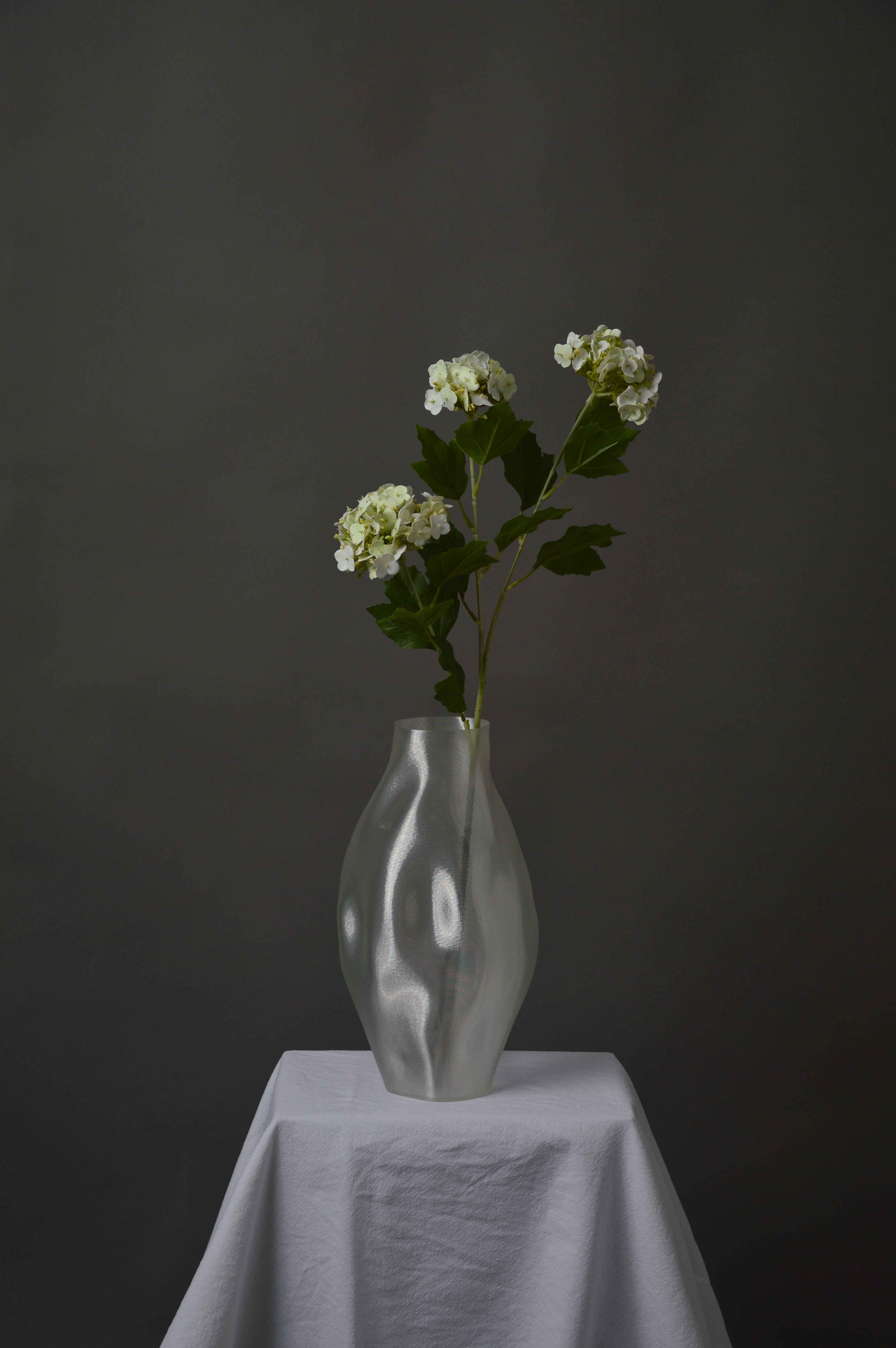 Have hortensia