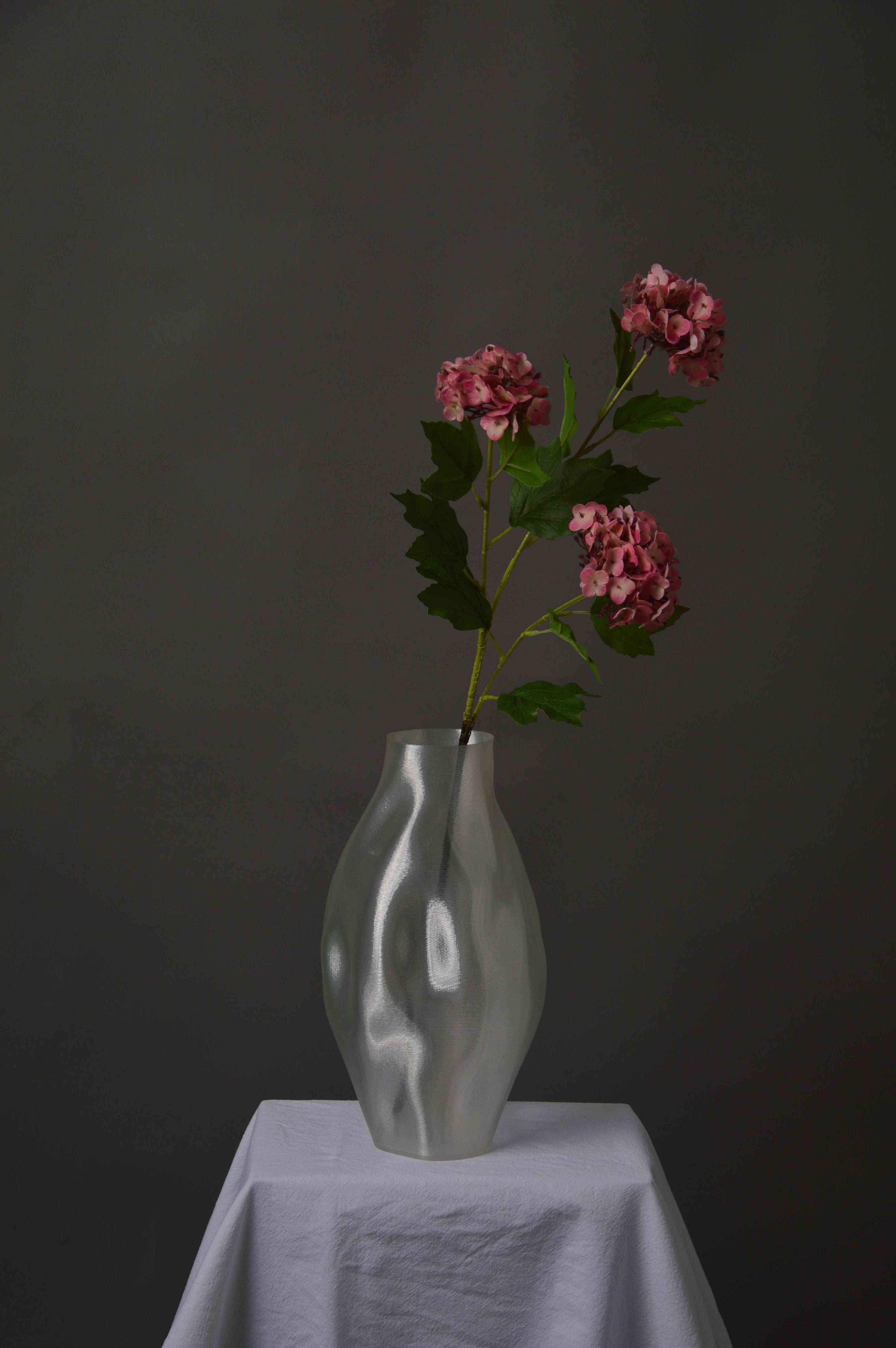 Have hortensia