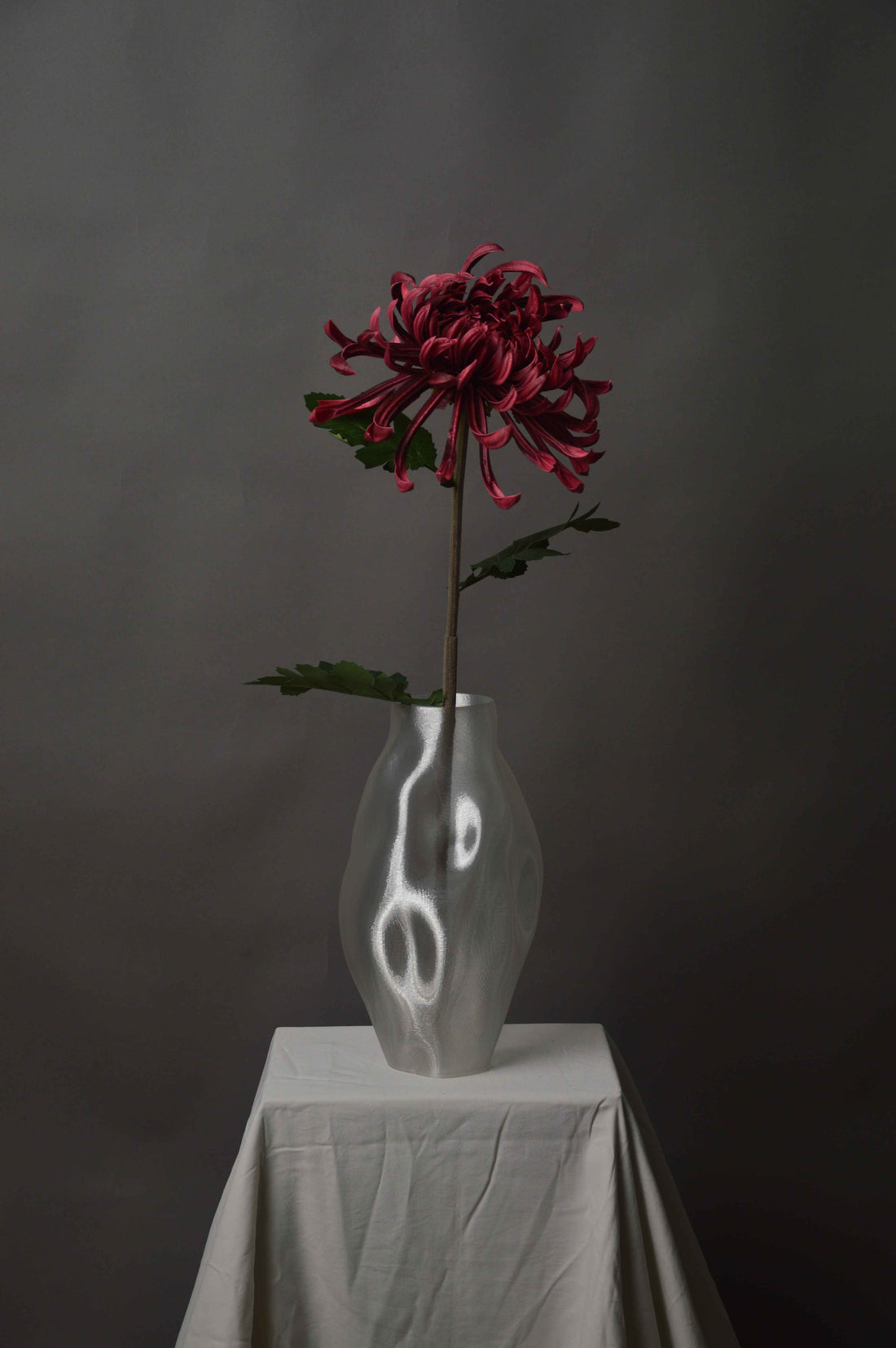 Stor Chrysanthemum