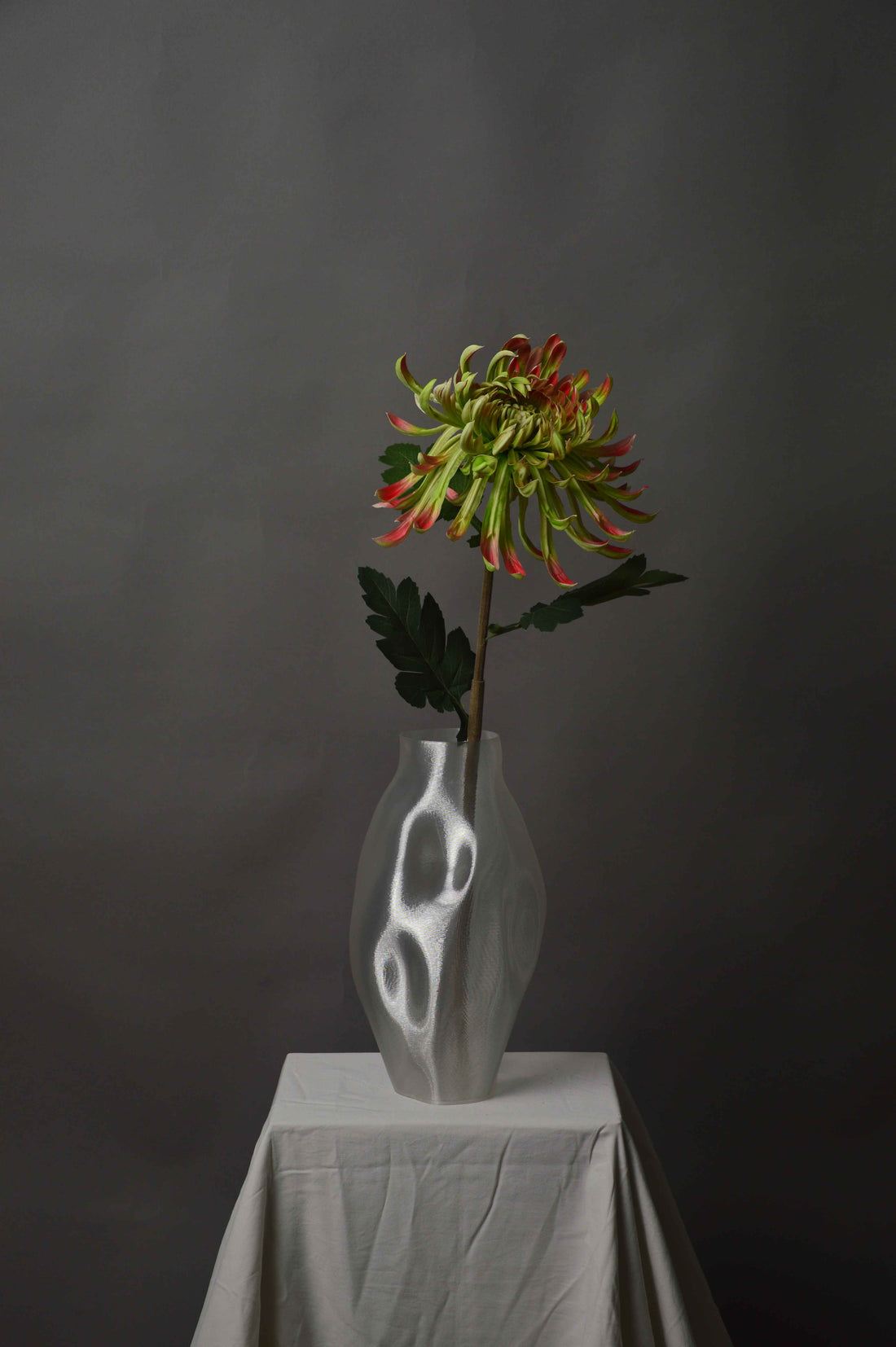Stor Chrysanthemum