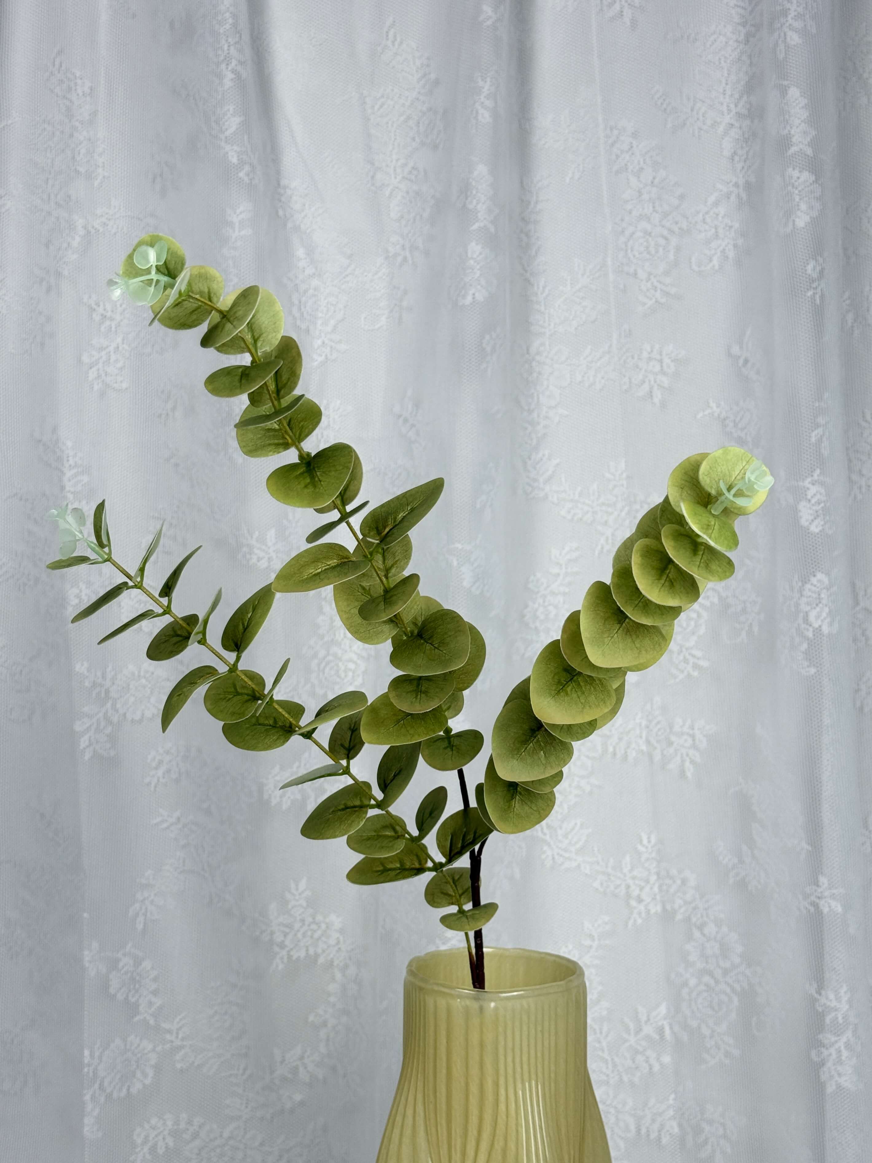 Eukalyptus - Fleuristic